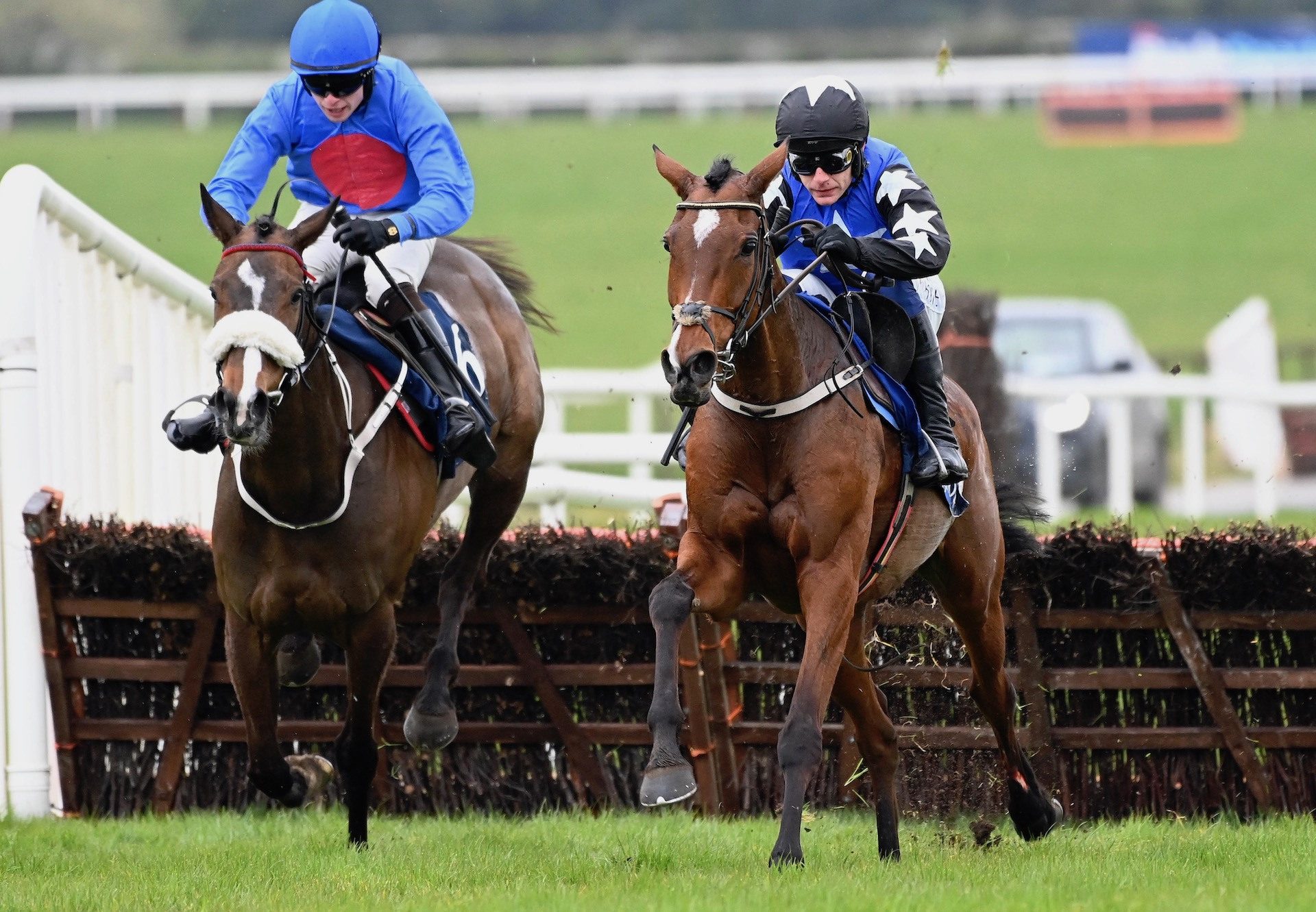 Ashroe Diamond (Walk In The Park) Wins The Grade 1 Mares Novice Hurdle At Fairyhouse