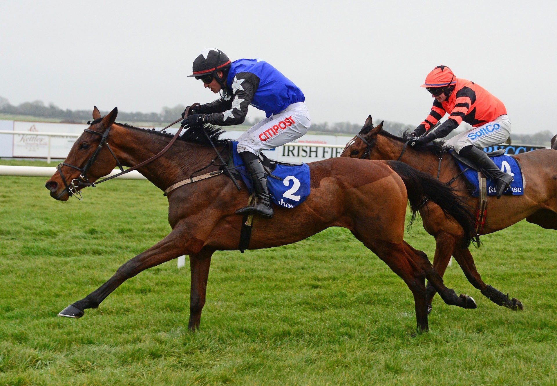 Ashroe Diamond (Walk In The Park) Wins The Grade 3 Solerina Mares Novice Hurdle at Fairyhouse