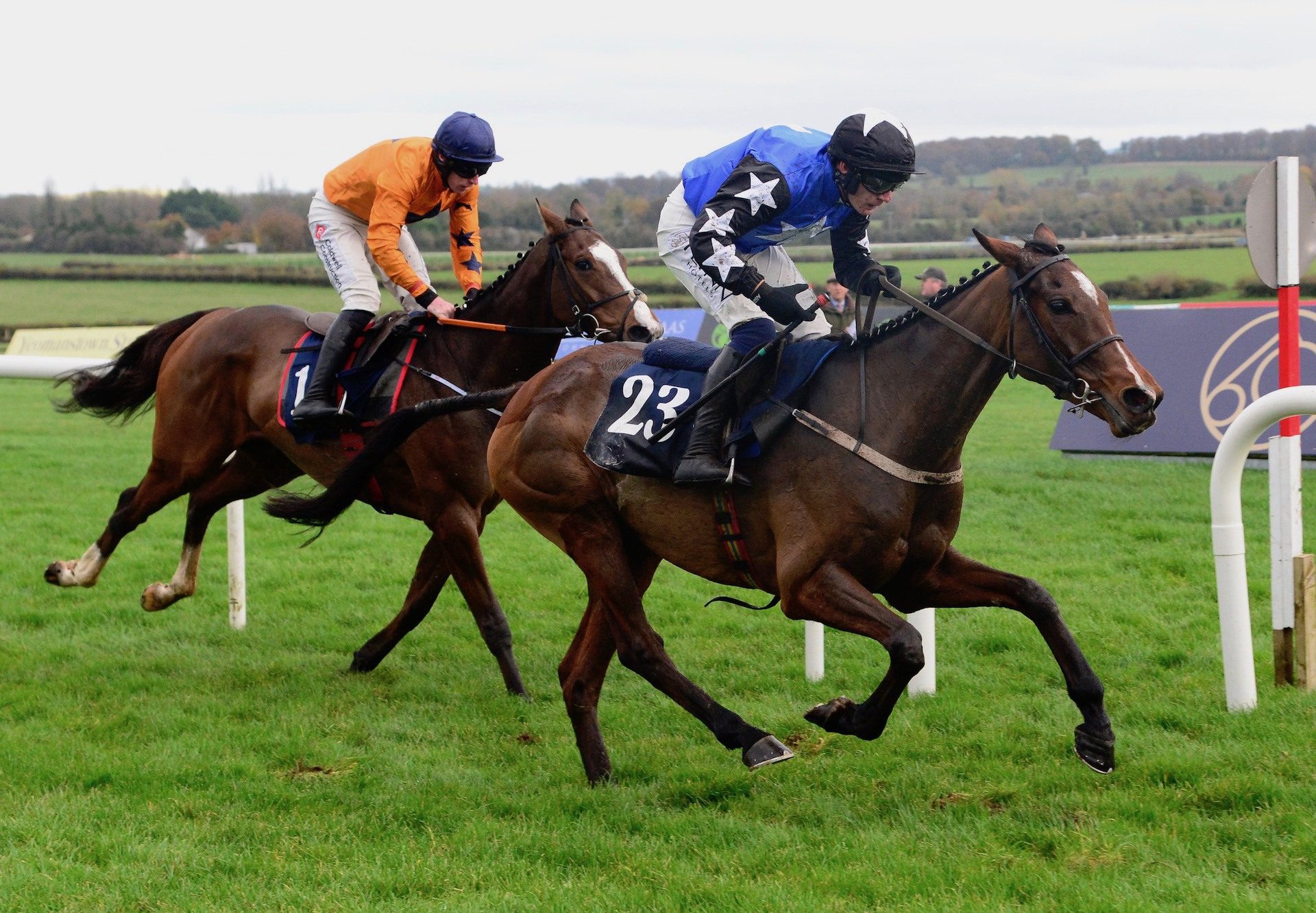 Ashroe Diamond (Walk In The Park) Wins The Maiden Hurdle At Naas