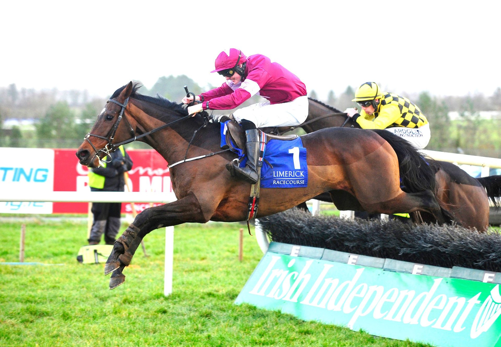 Assemble (Getaway) Wins At Limerick