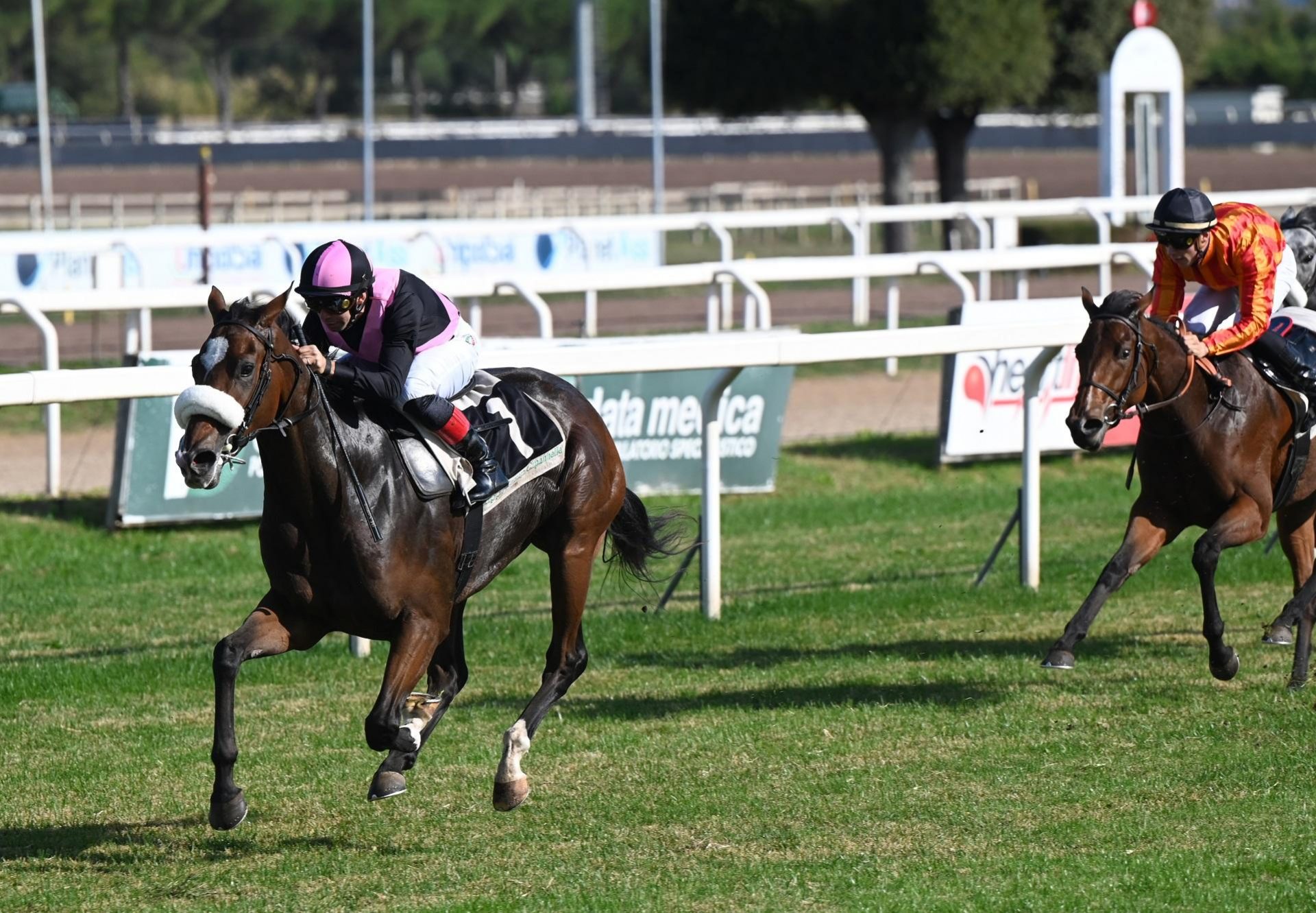 Atamisque (Highland Reel) winning the Gr.2 Premio Dormello at Capannelle