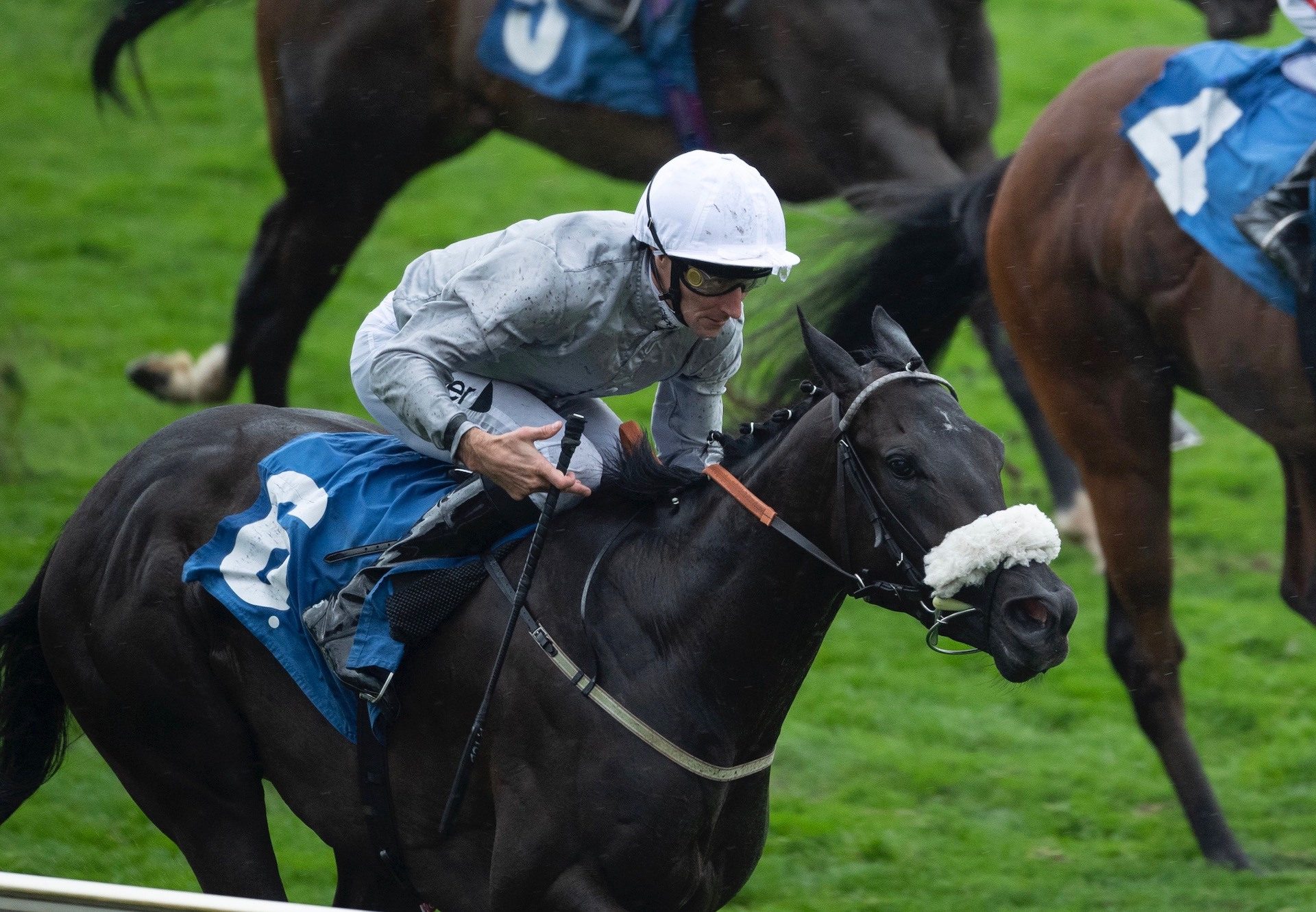 Attagirl (Wootton Bassett) Wins The Listed Julia Garves Roses Stakes At York