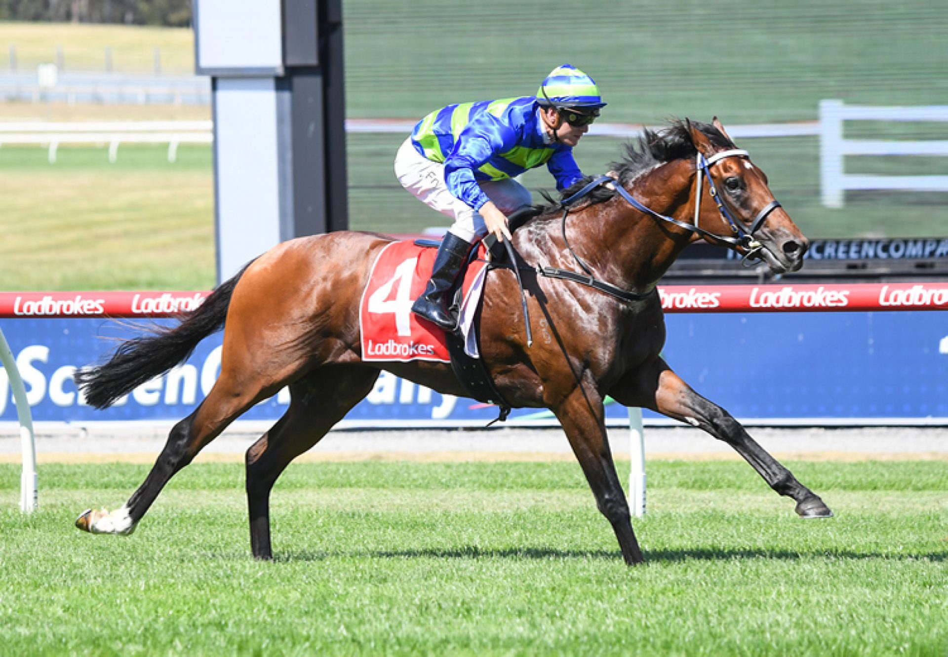 Attrition (Churchill) winning at Sandown