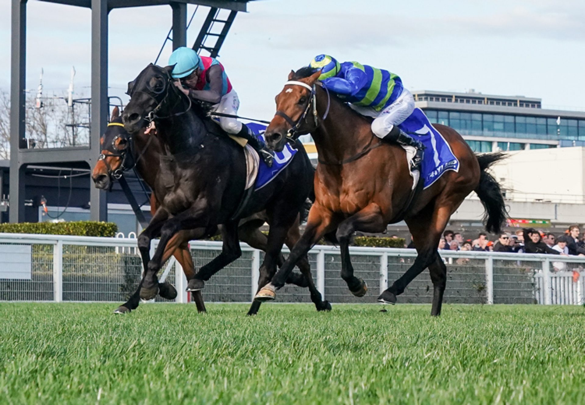 Attrition (Churchill) wins the Gr.1 Toorak Handicap at Caulfield