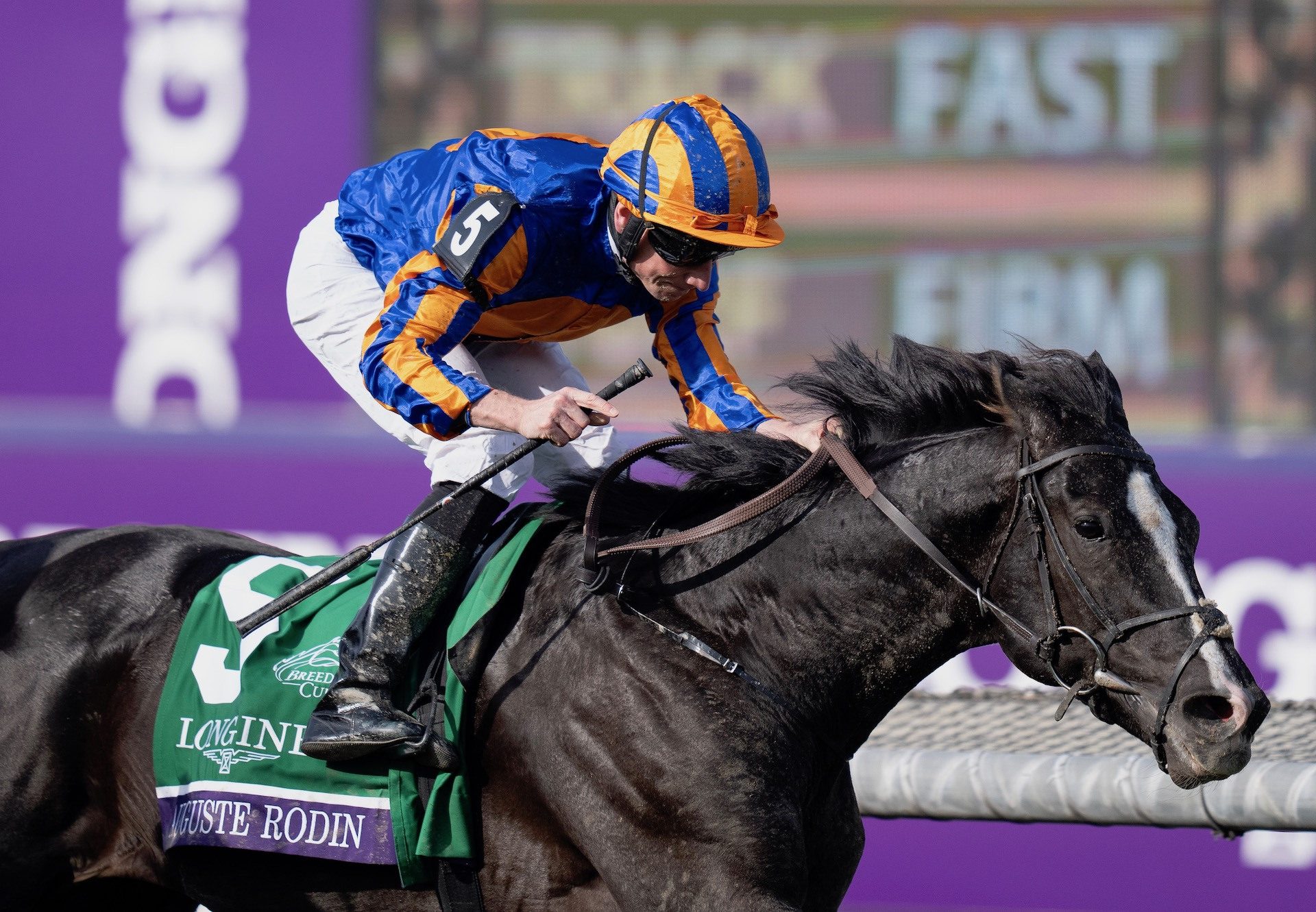 Auguste Rodin Wins The Grade 1 Breeders' Cup Turf at Santa Anita