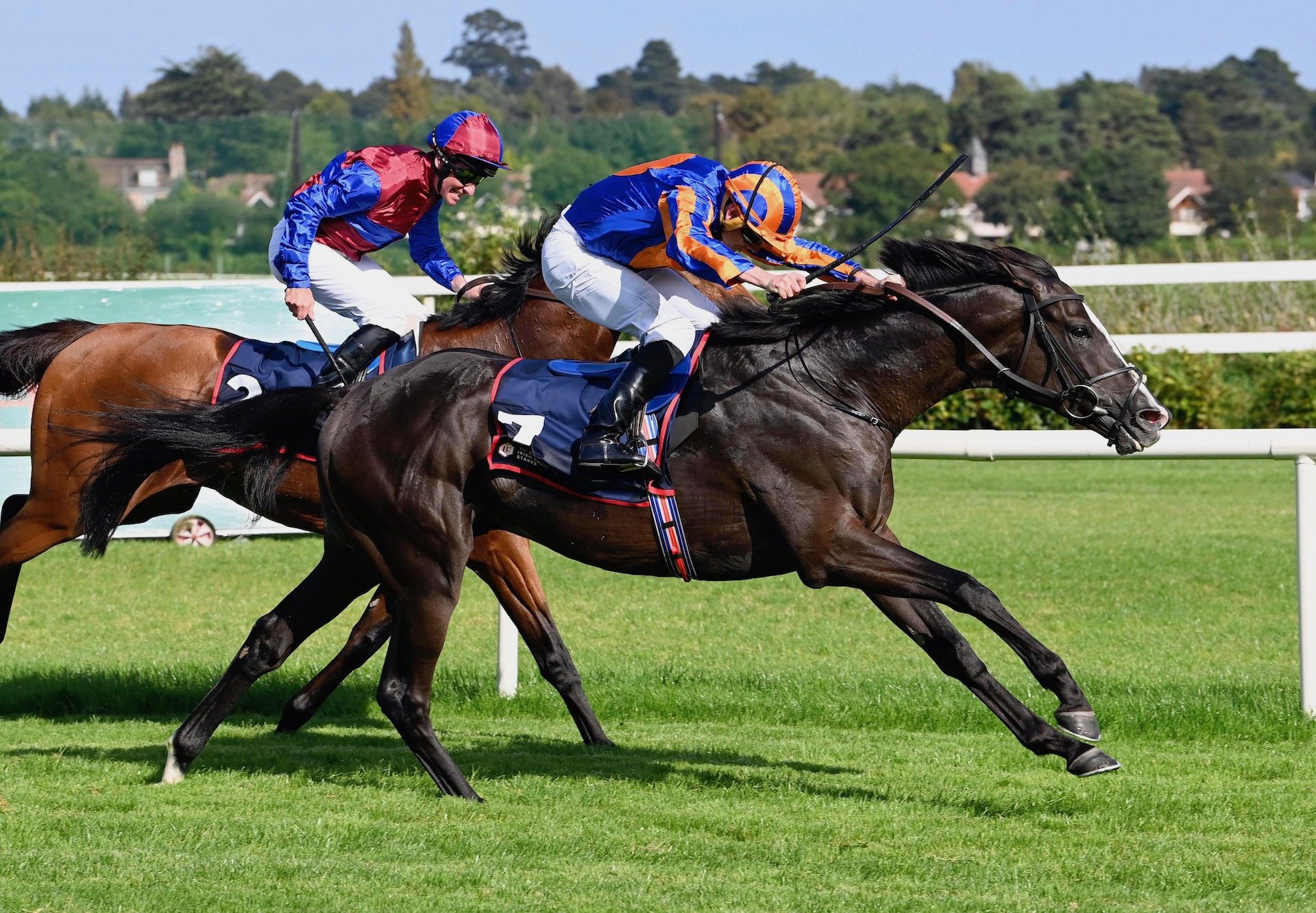 Auguste Rodin Wins The Group 1 Irish Champion Stakes at Leopardstown