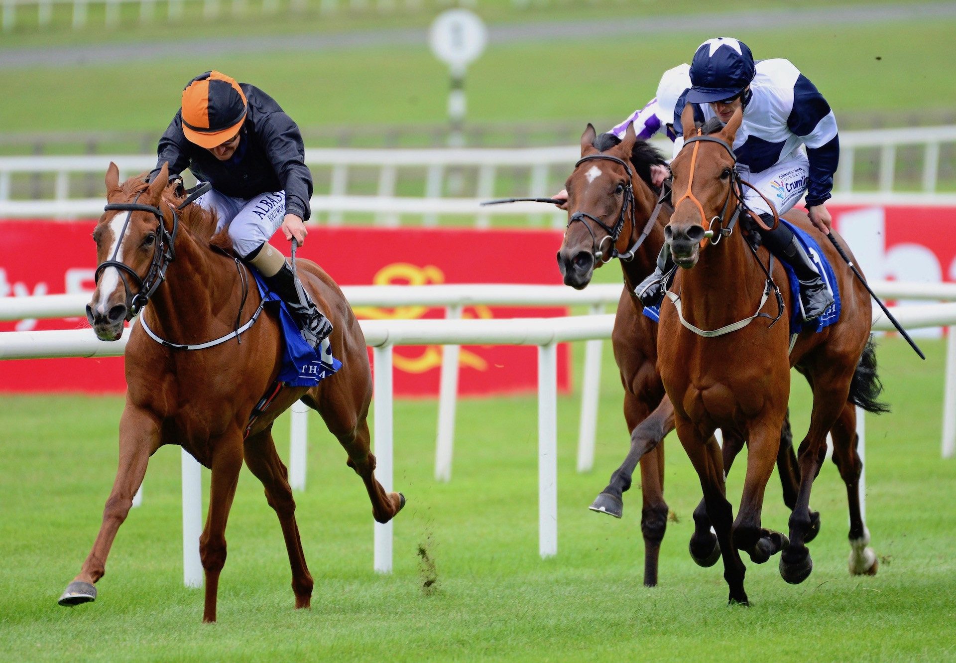 Aunt Bee (Australia) Wins Curragh Maiden