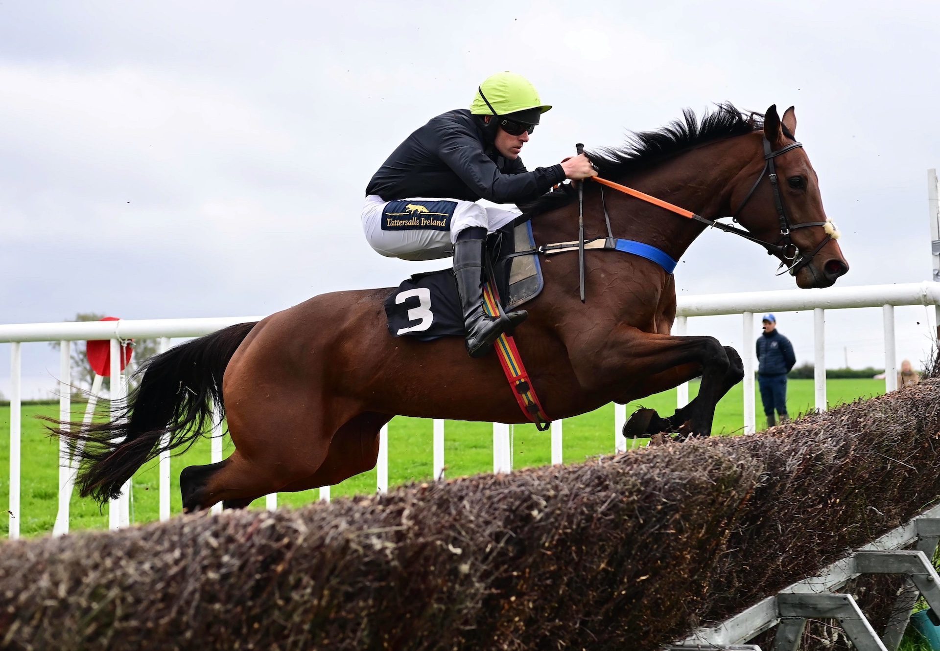 Auntie Lacey (Getaway) Wins The 4 Yo Mares Maiden At Toomebridge