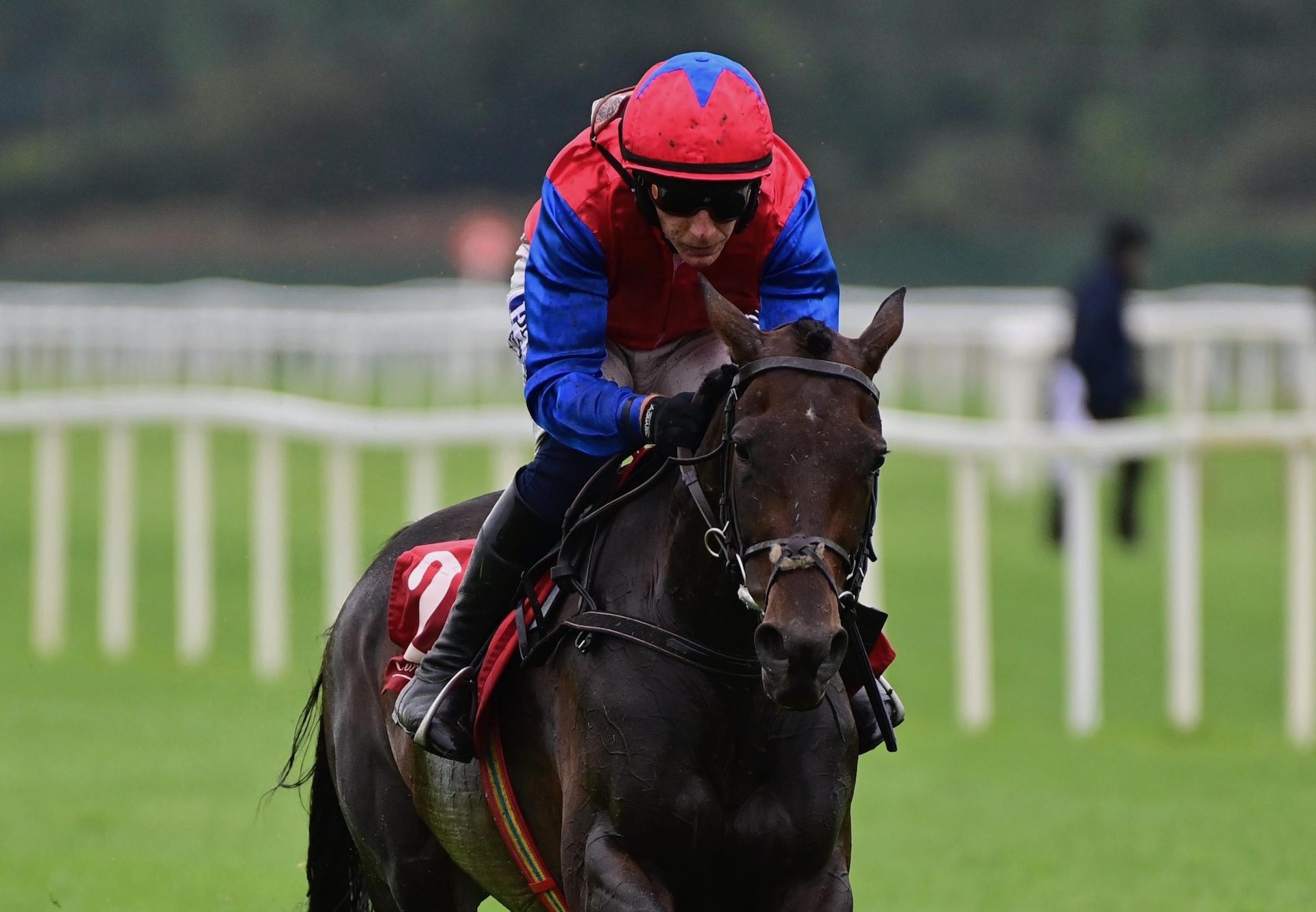 Aurora Vega (Walk In The Park) Wins The Mares Maiden Hurdle At Cork