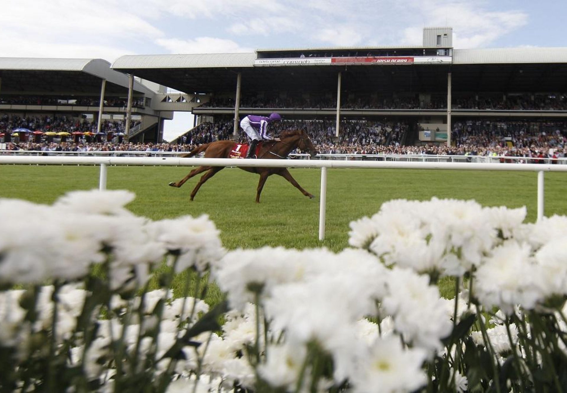 Australia winning the G1 Irish Derby