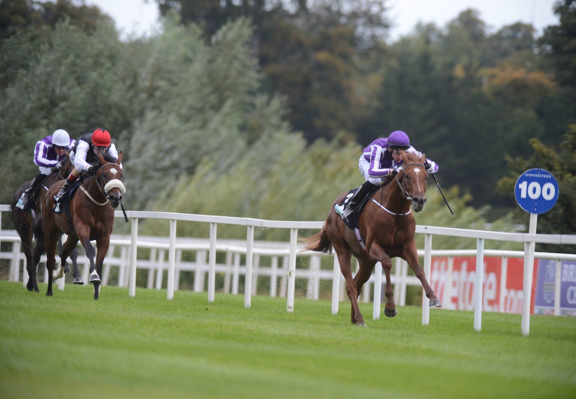 Australia Winning The G3 Breeders Cup Juvenile Trial At Leoaprdstown