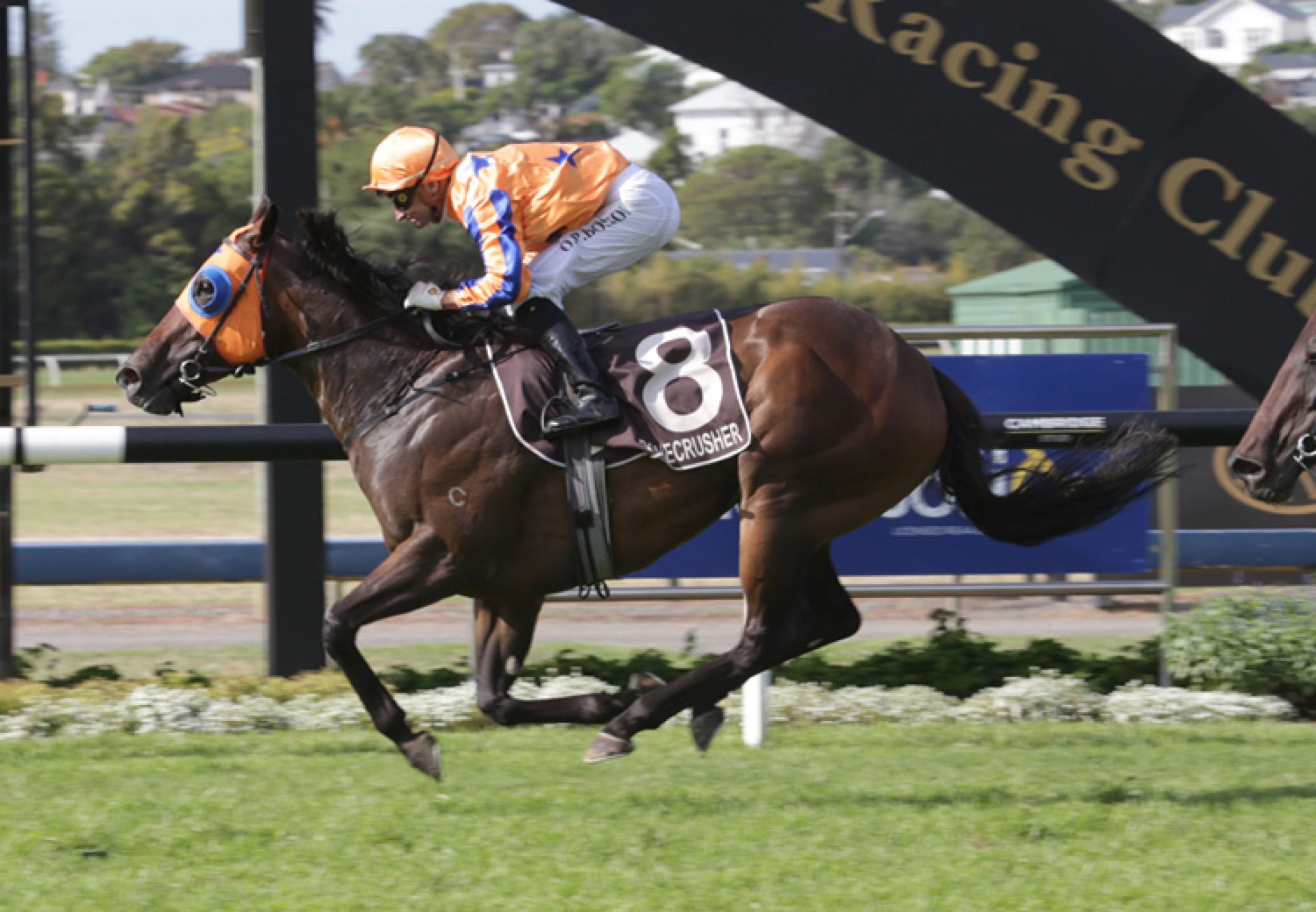 Avantage (Fastnet Rock) winning the Gr.1 New Zealand Stakes at Ellerslie