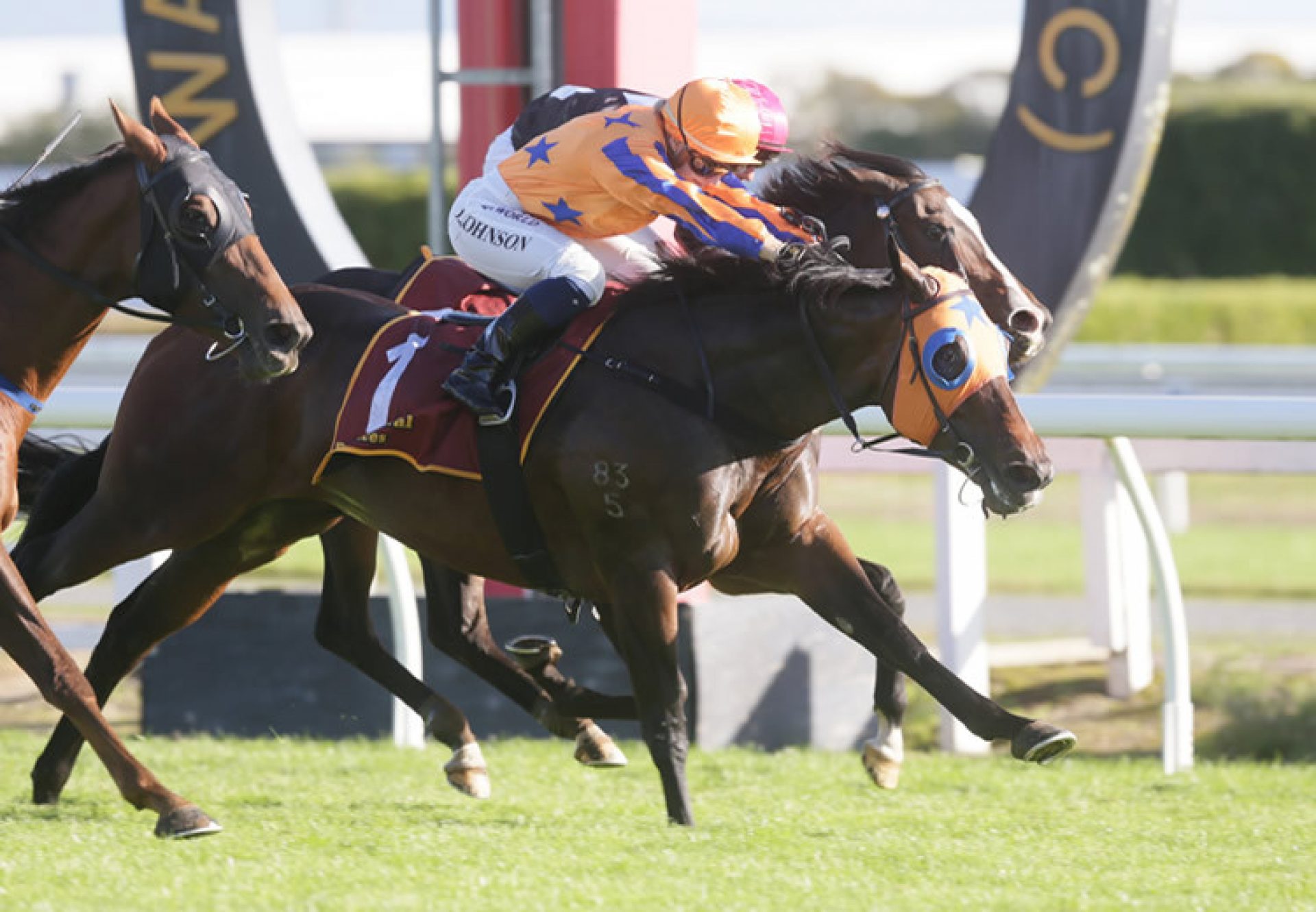 Avantage (Fastnet Rock) wins the Gr.1 Fiber Fresh New Zealand Thoroughbred Breeders' Stakes
