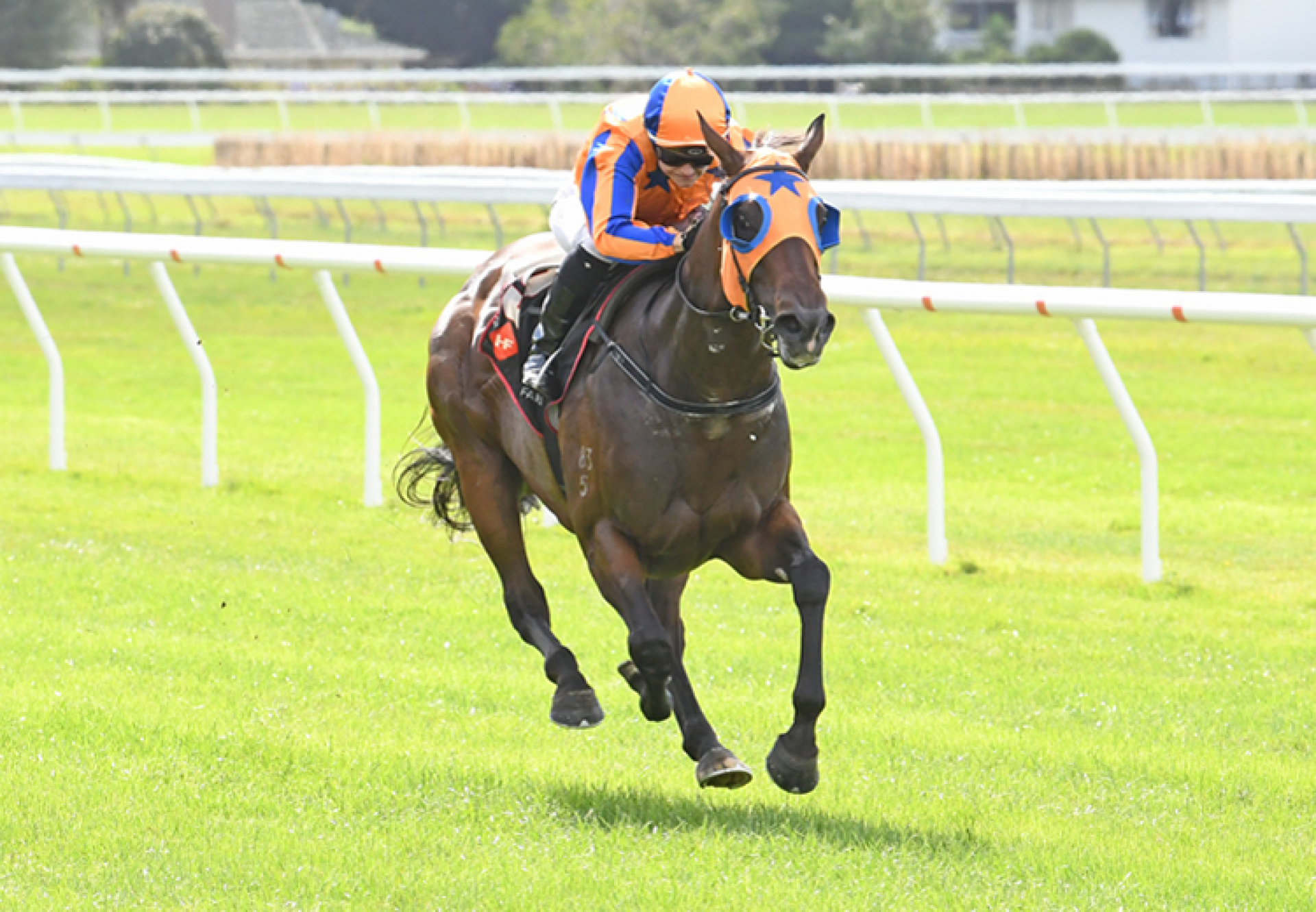 Avantage (Fastnet Rock) winning the Gr.1 Otaki Stakes