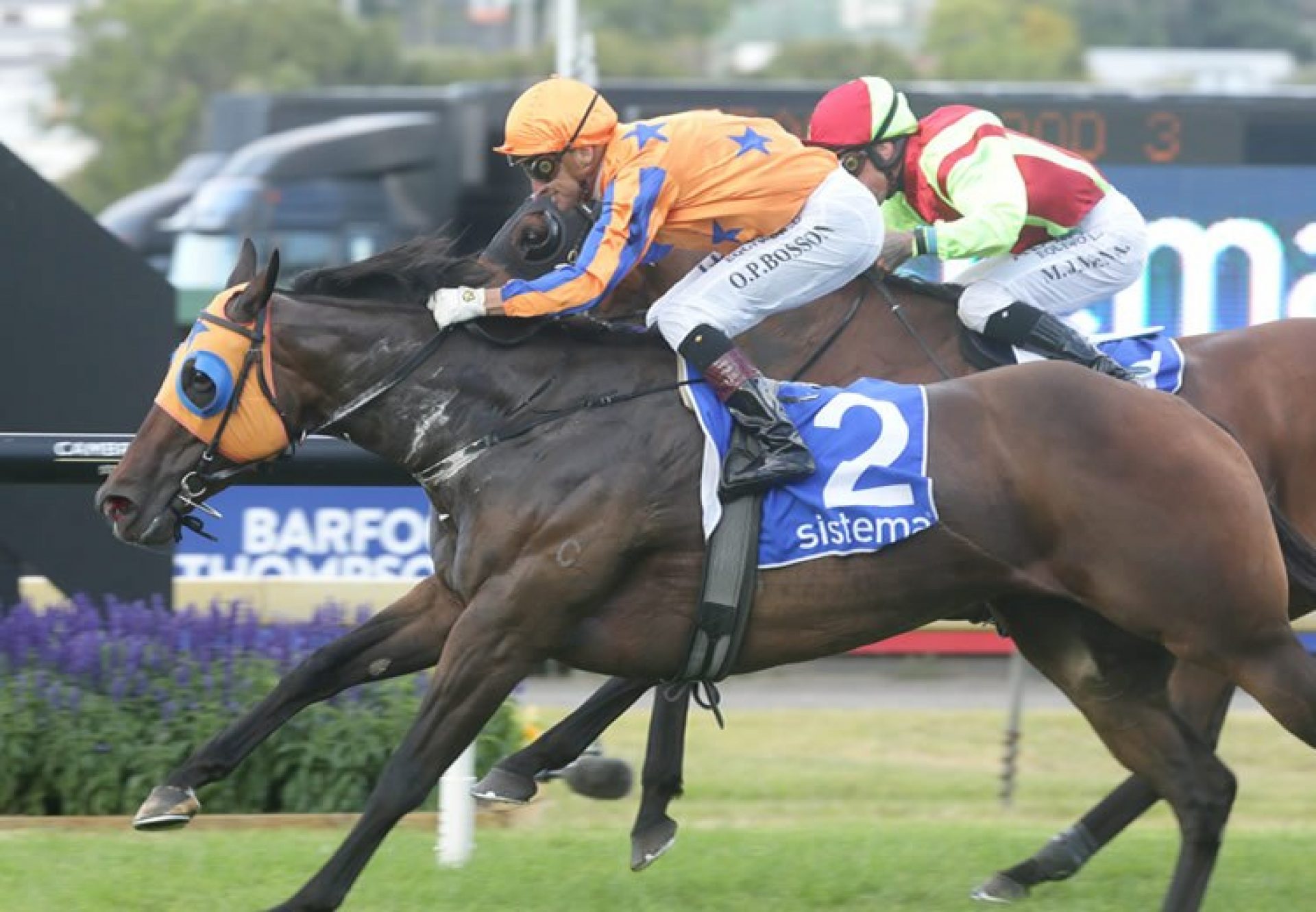 Avantage (Fastnet Rock) winning the Gr.1 System Railway Stakes at Ellerslie