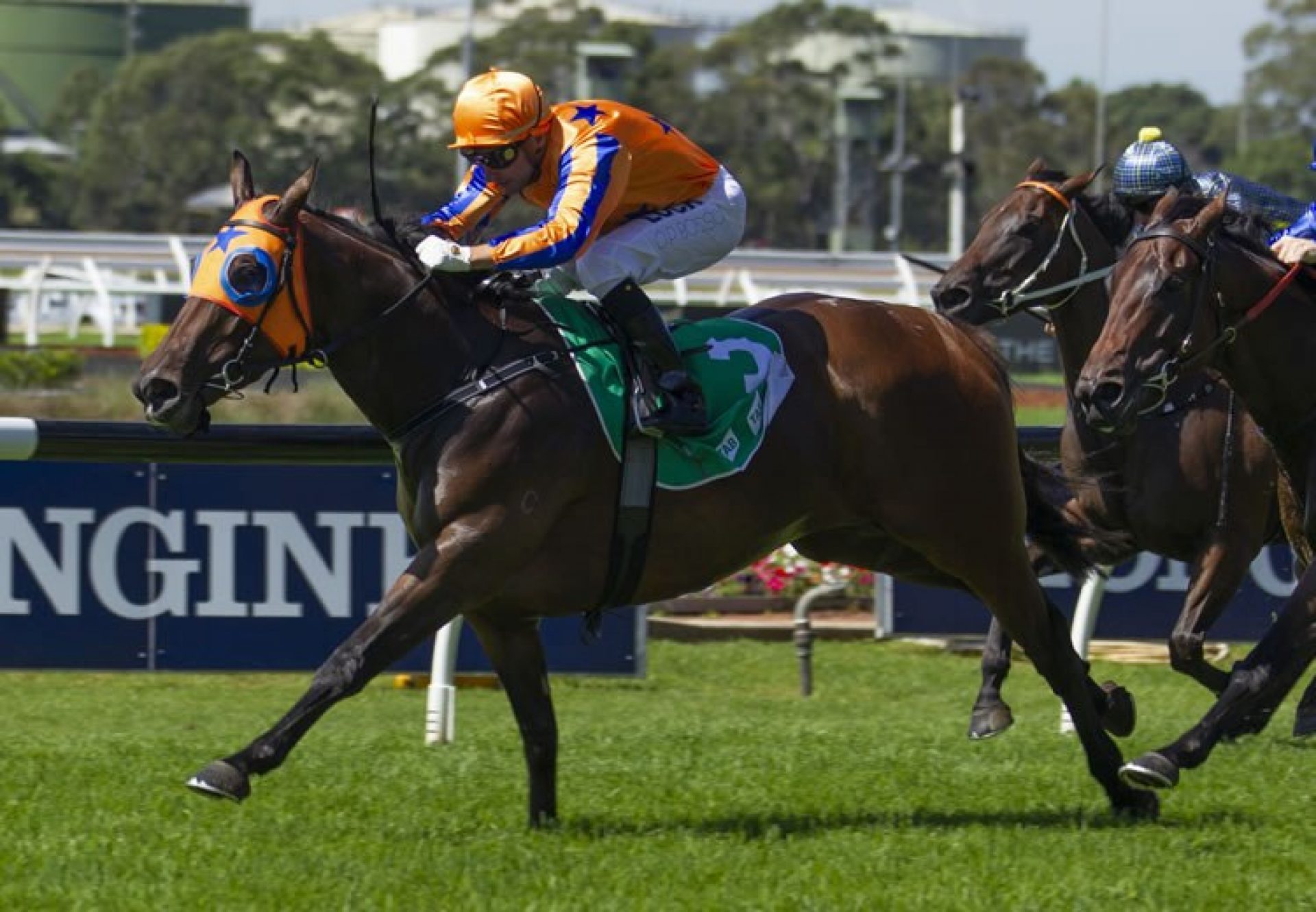 Avantage (Fastnet Rock) winning the Gr.2 ATC Birthday Card Quality at Rosehill