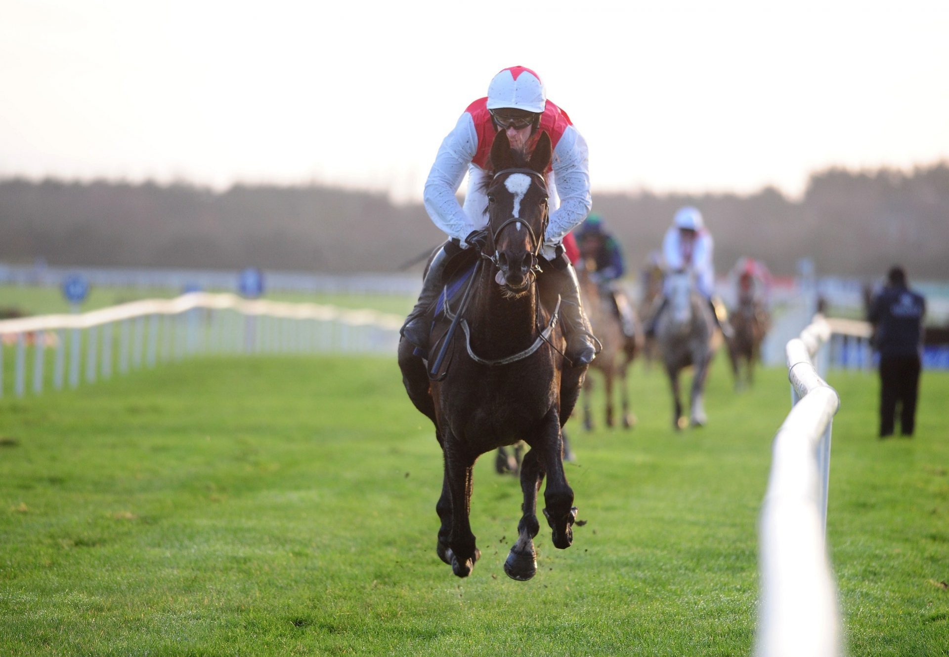 Awayinthewest Fairyhouse