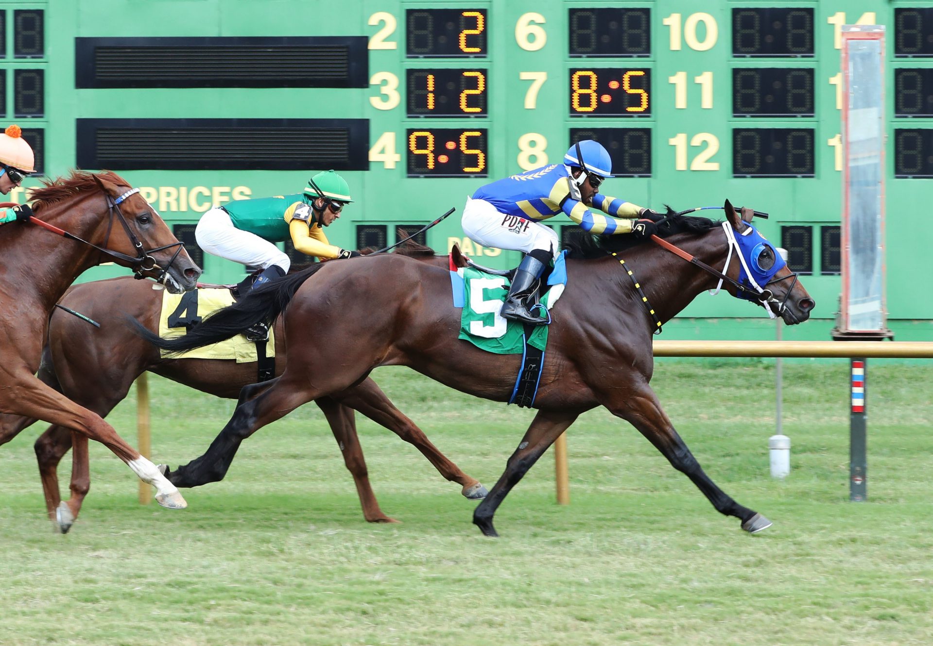 Betwithbothhands (Uncle Mo) winning the Kentucky Downs TVG Preview Mint Million