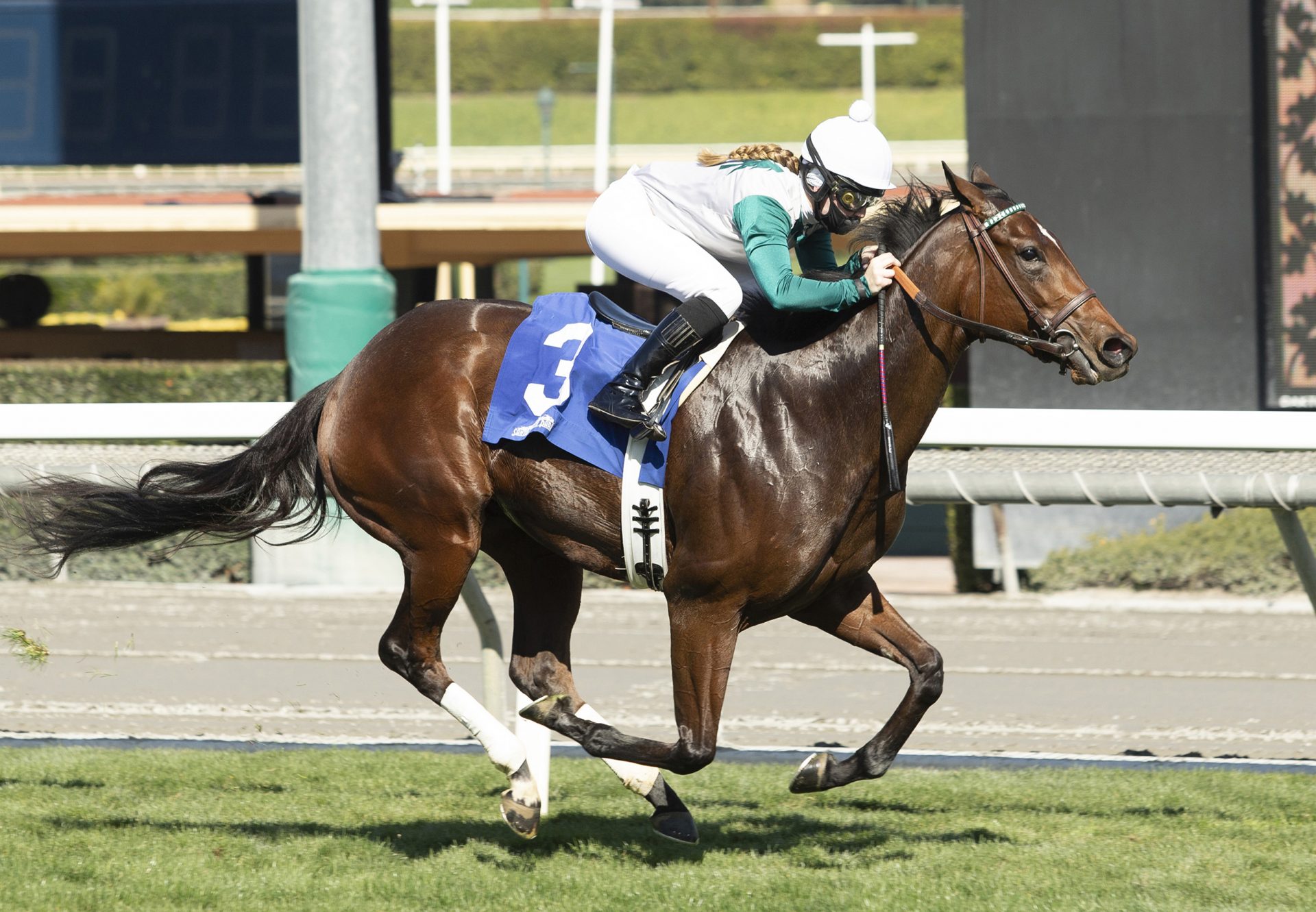 Bleu Ballon (Air Force Blue) wins maiden at Santa Anita