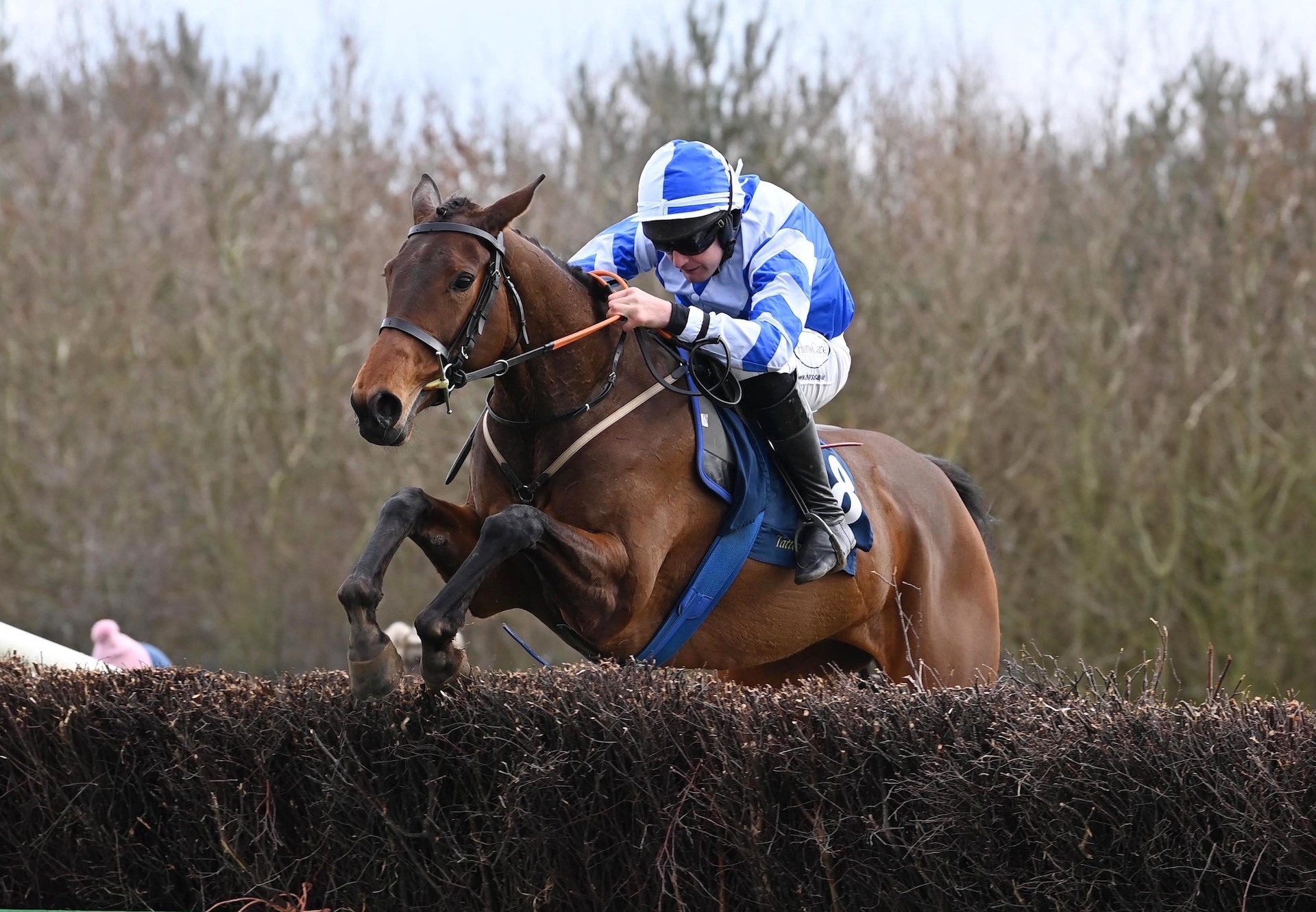 Baby Shally (Soldier Of Fortune) Wins At Ballycahane