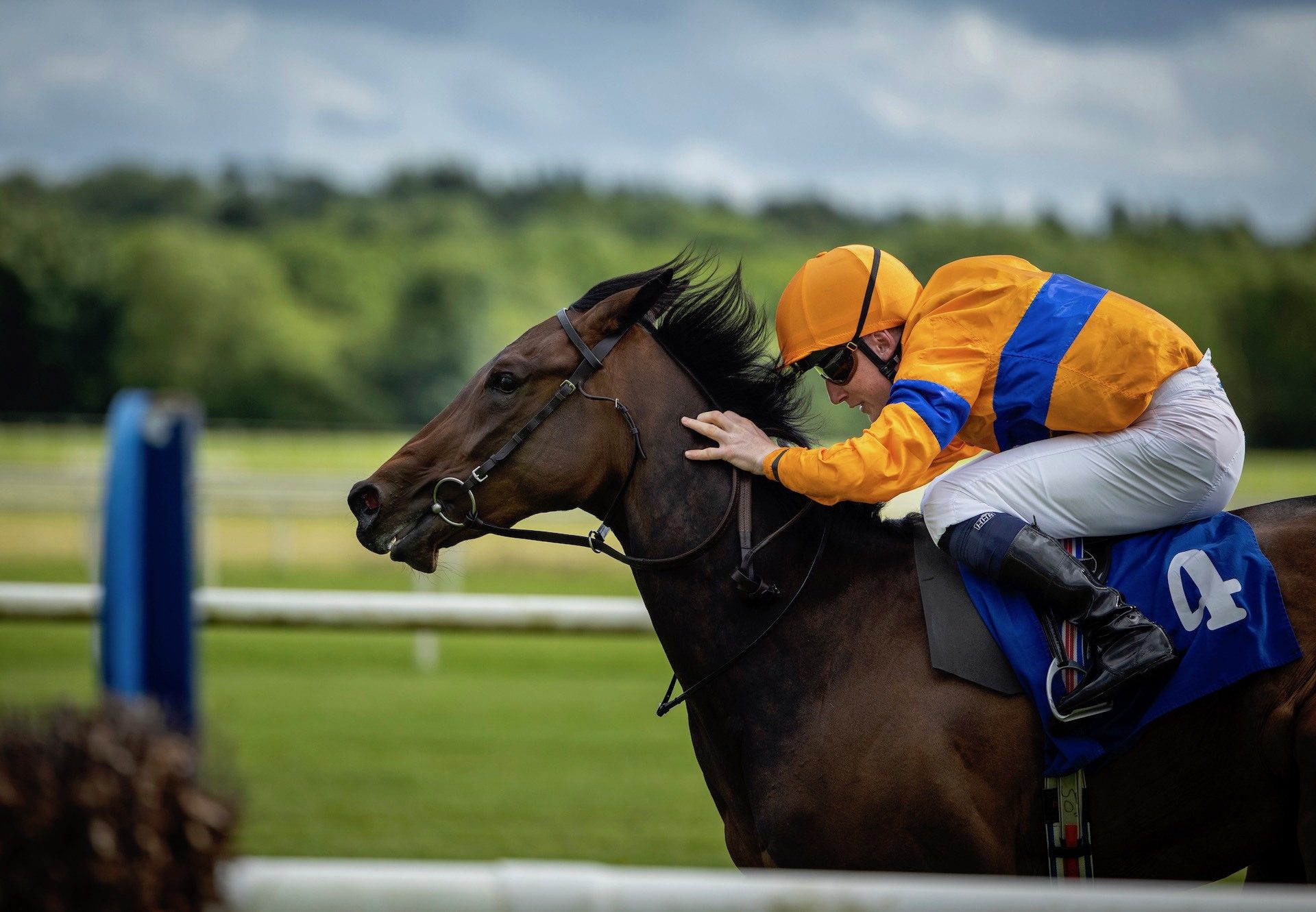 Badb (Footstepsinthesand) Wins The Fillies Maiden At Cork