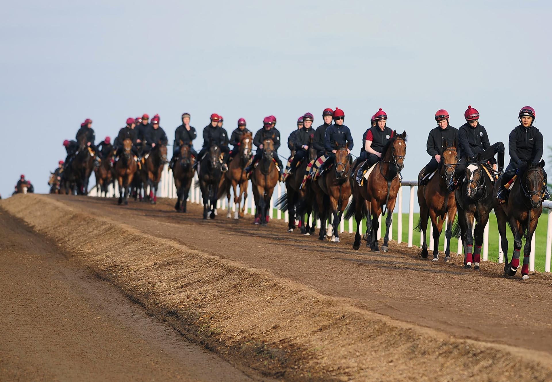 29+ Ballydoyle racing colours info