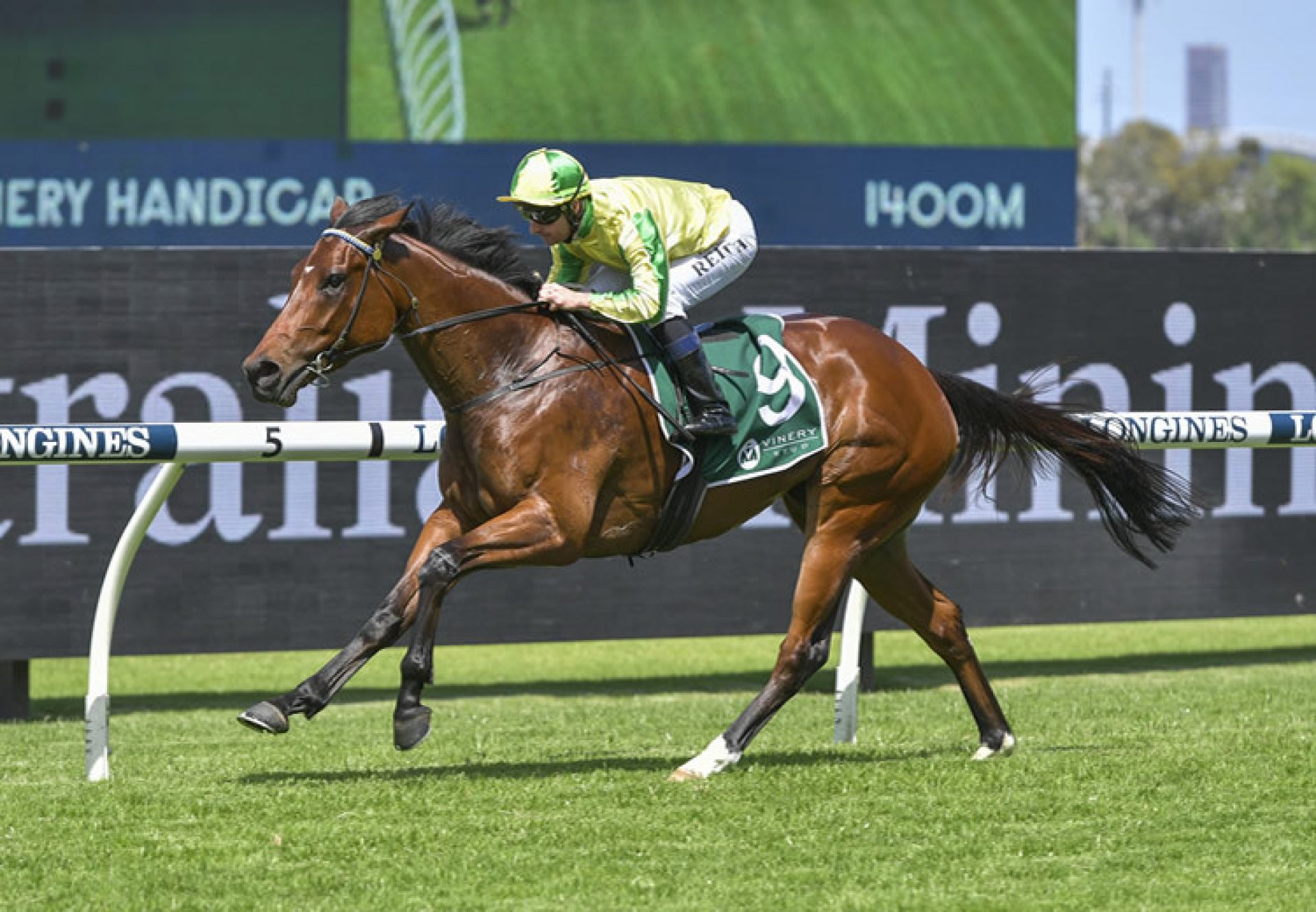 Banana Queen (So You Think) winning at Rosehill