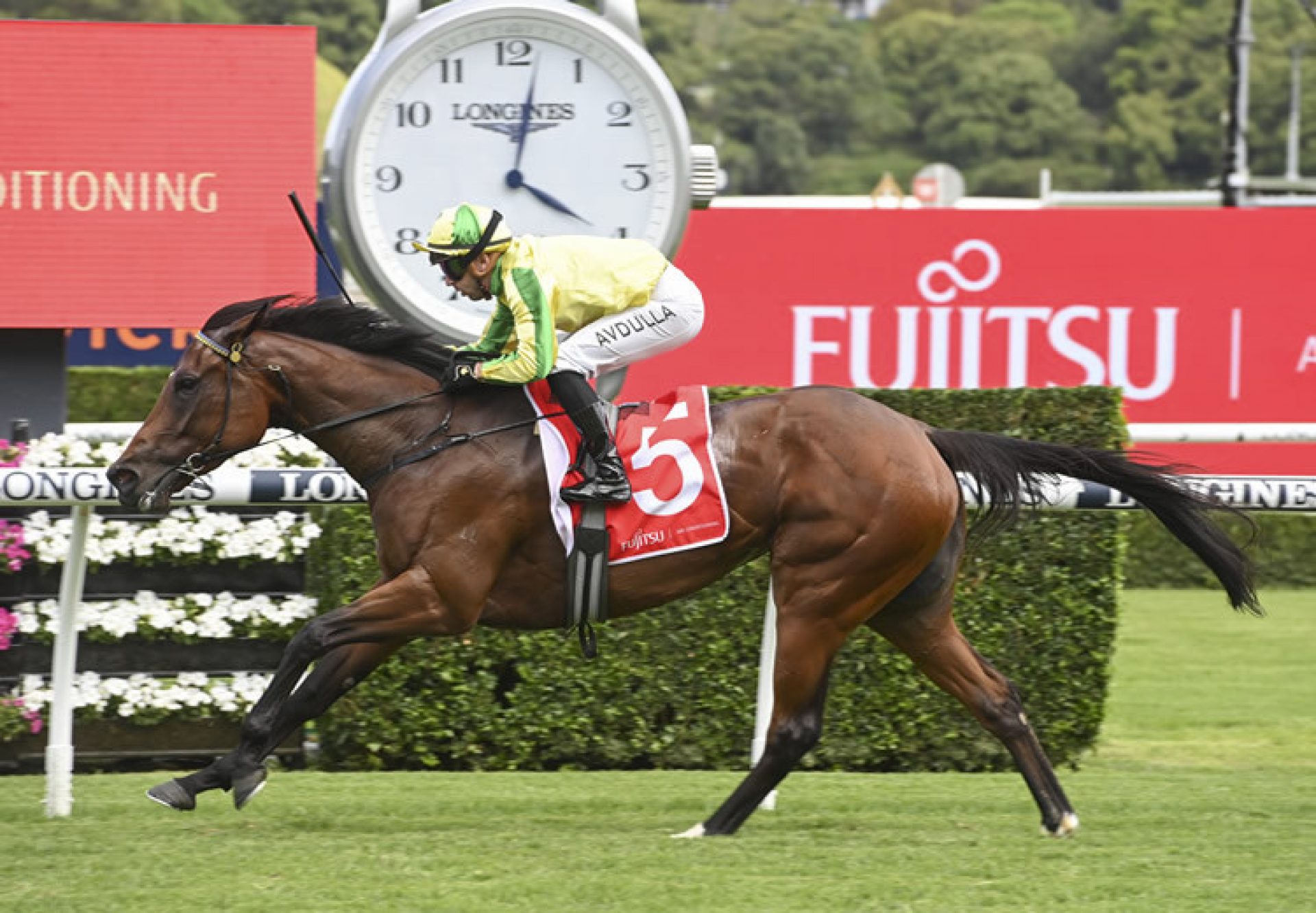 Banana Queen (So You Think) winning at Randwick