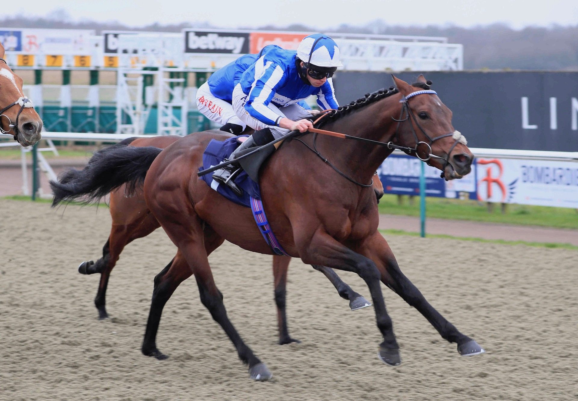 Bangkok (Australia) Wins His Second Listed Winter Derby Trial at Lingfield