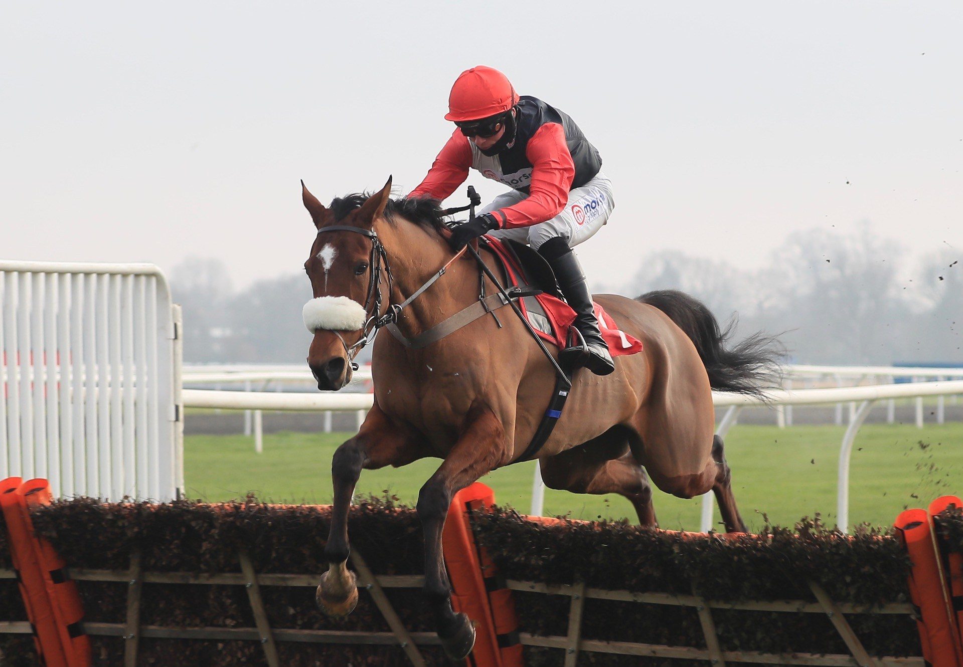 Barbados Bucks (Getaway) Completes A Hat Trick At Kempton