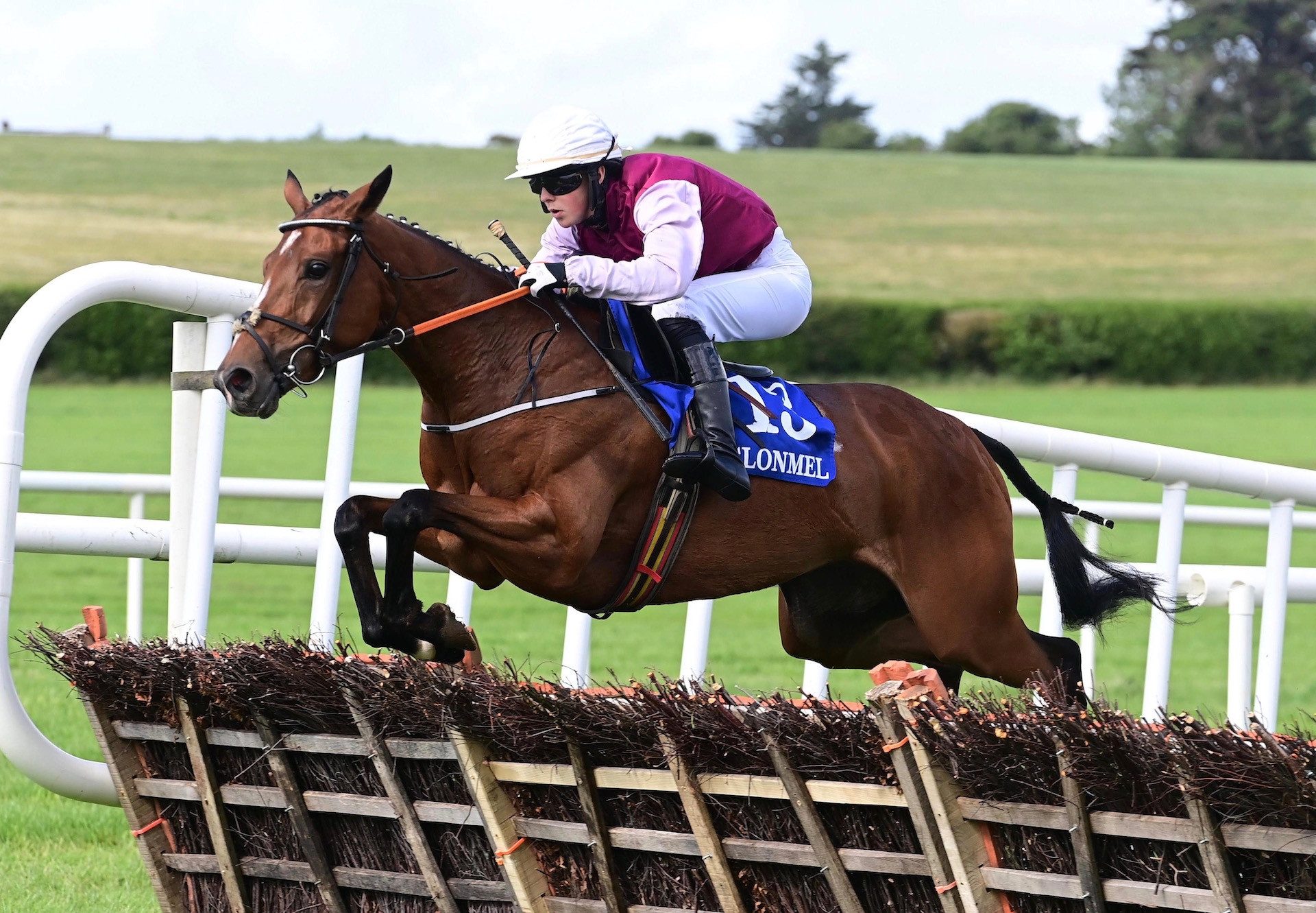 Barbaha Queen (Yeats) Wins The Maiden Hurdle At Clonmel