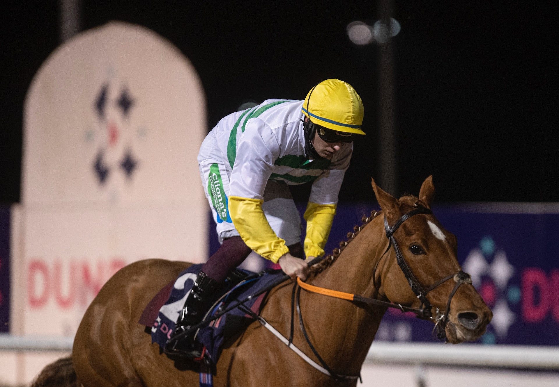 Barbapapa (Starspangledbanner) Wins His Maiden At Dundalk