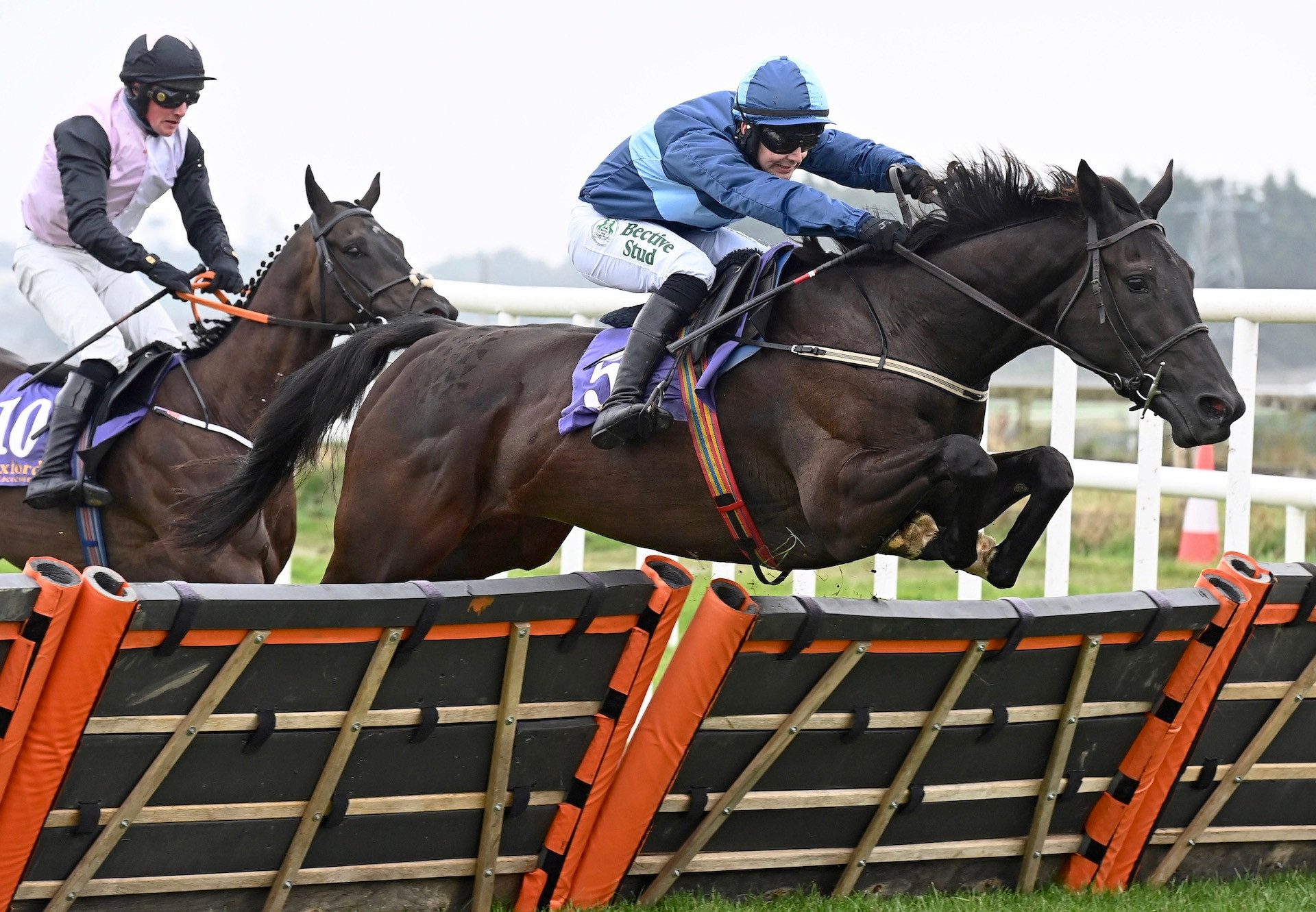 Barnacullia (Ocovango) Wins His Maiden Hurdle At Wexford