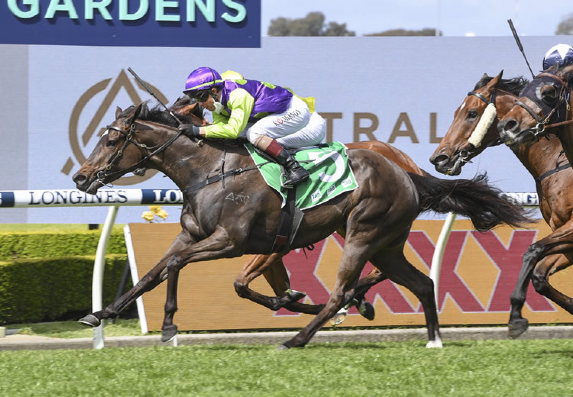 Barossa Rosa (Adelaide) winning at Rosehill