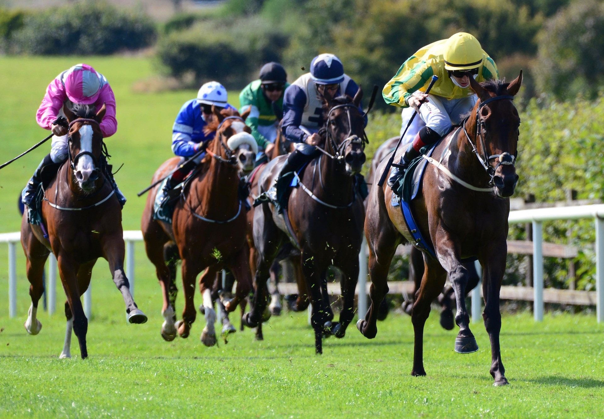 Barretta (Australia) Makes An Impressive Debut At Navan