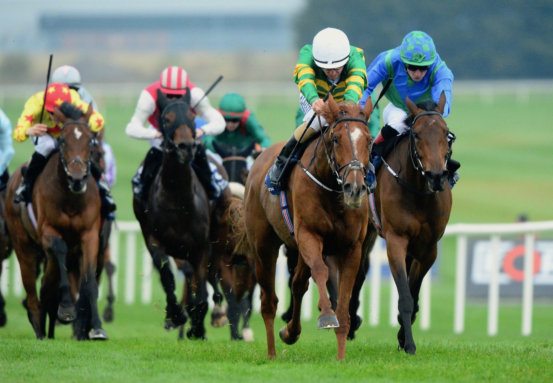 Barrington Court (Mastercraftsman) Wins The Listed Bluebell Stakes at Naas