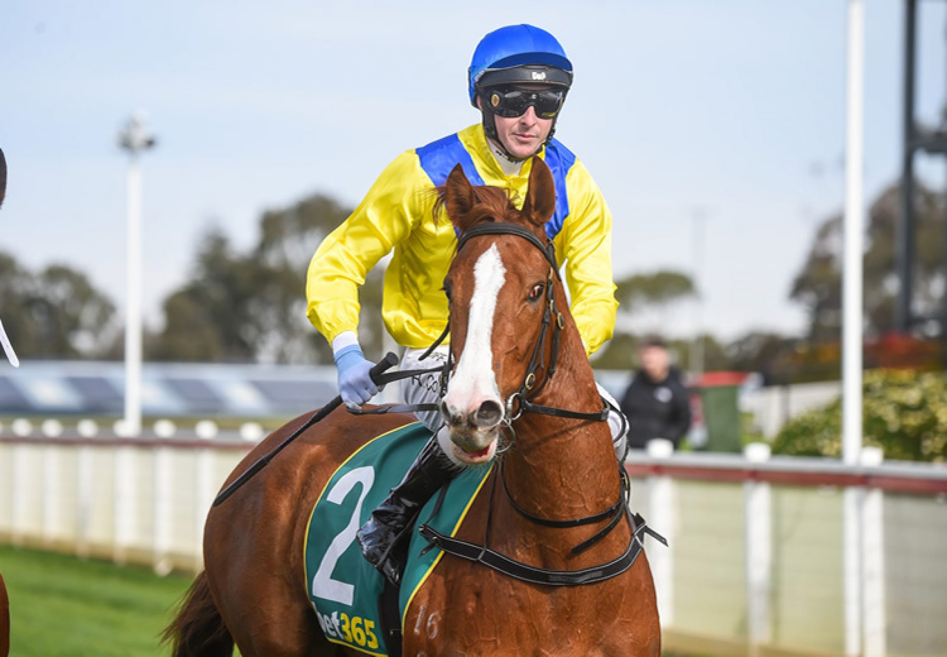 Batrana (Justify) winning at Geelong