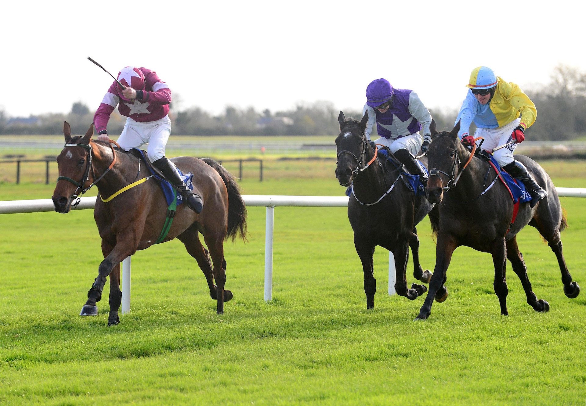 Battle Of Midway (Mahler) winning a novice hurdle at Fairyhouse