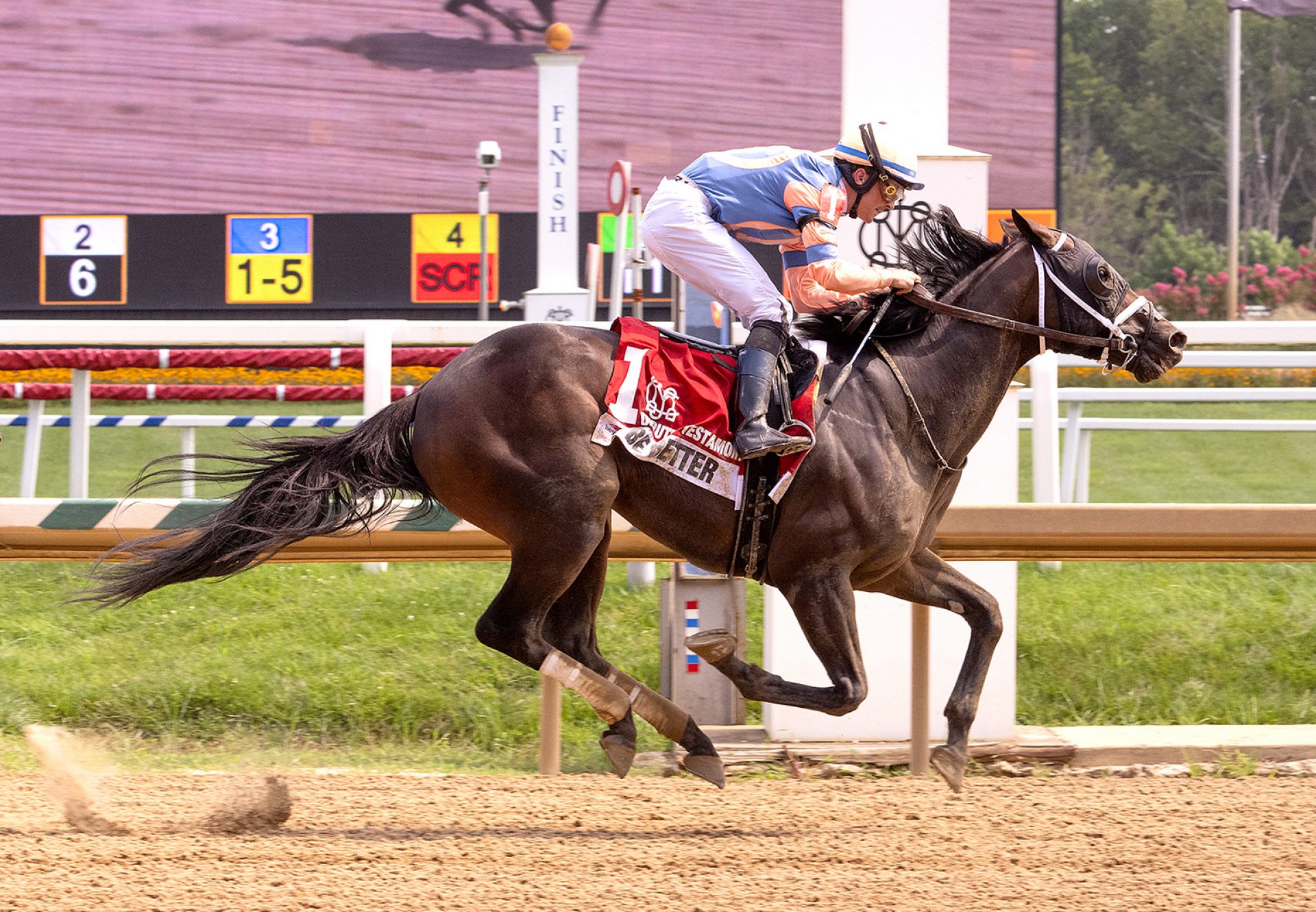 Be Better (Uncle Mo) Wins Deputed Testamony Stakes at Laurel Park