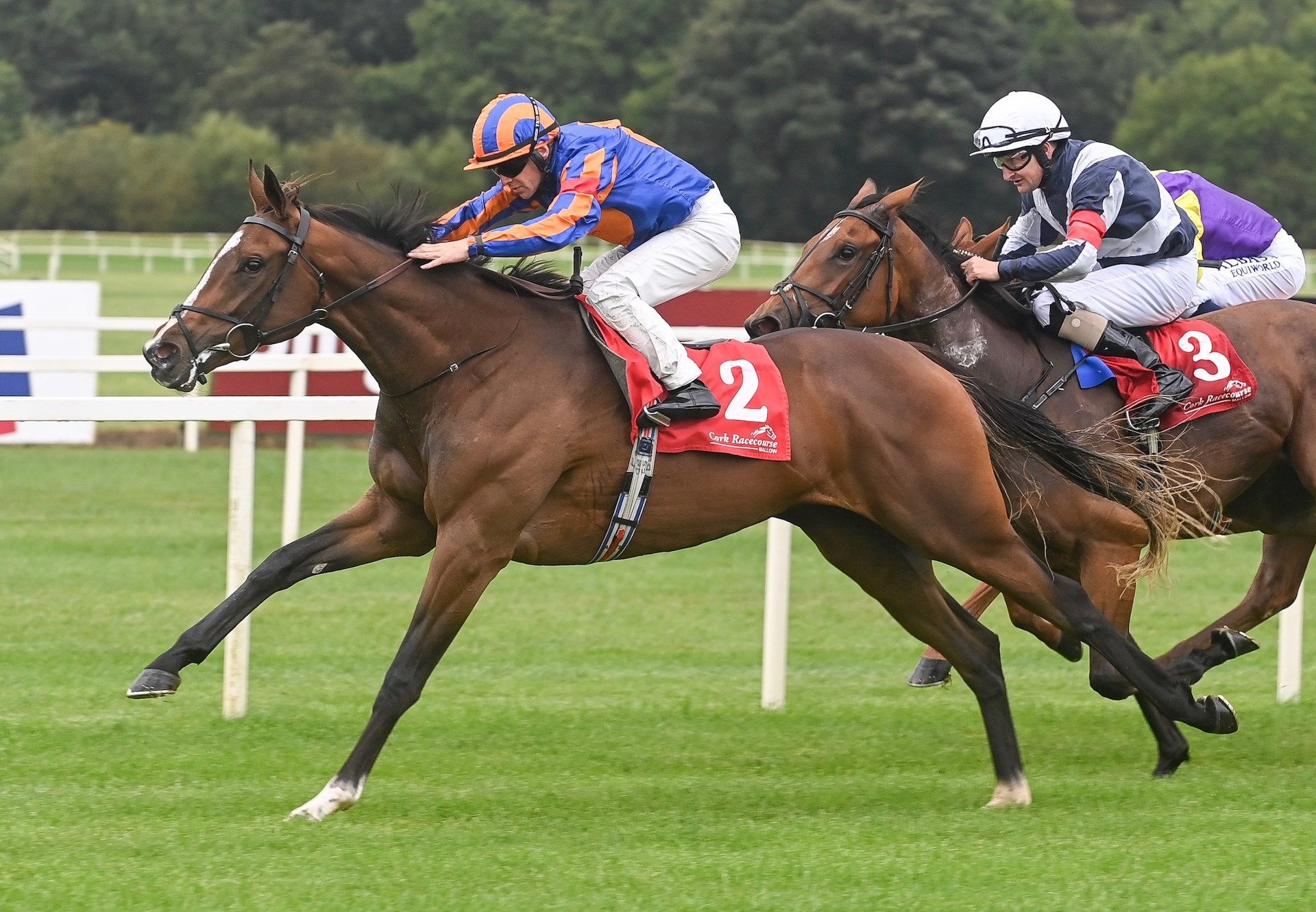 Be Happy (Camelot) Makes A Winning Debut At Cork