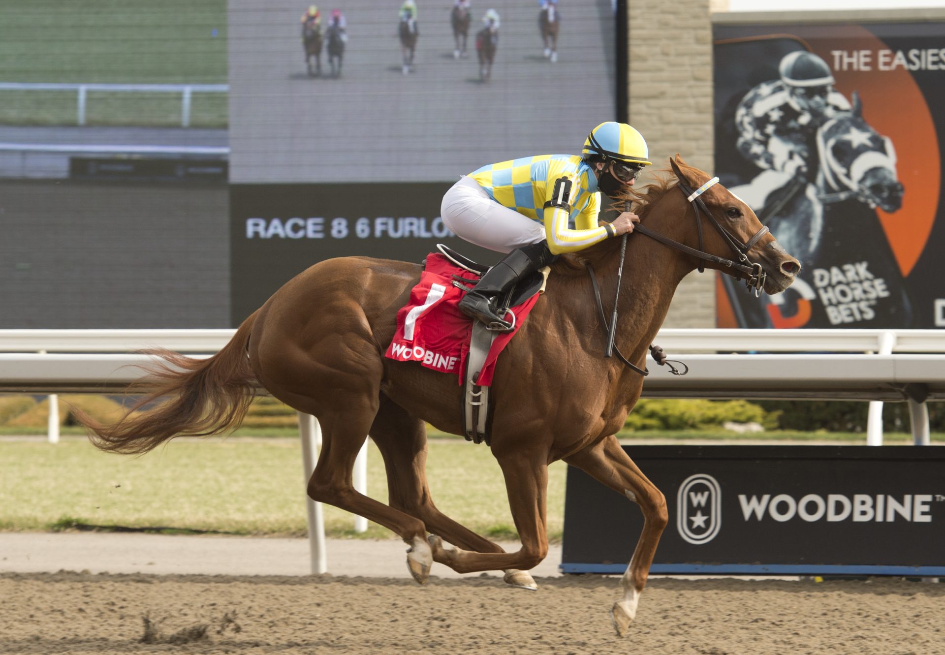 Beautiful Empire Classic Empire Wins Star Shoot At Woodbine