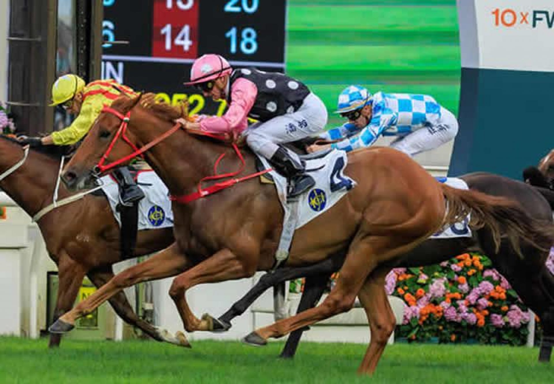 Beauty Eternal (Starspangledbanner) winning at Sha Tin