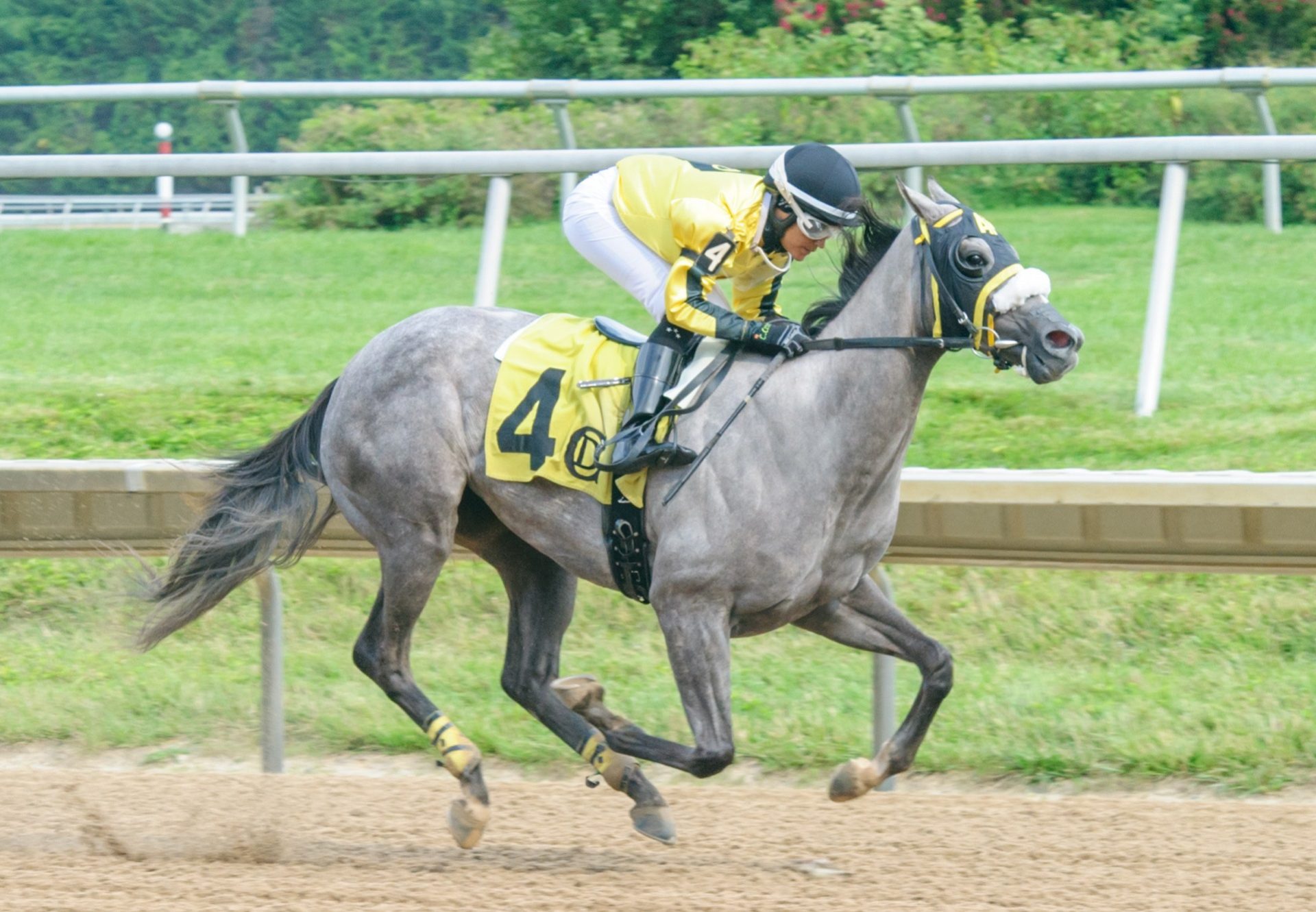 Beauty N Brains (Cupid) Winning At Delaware Park