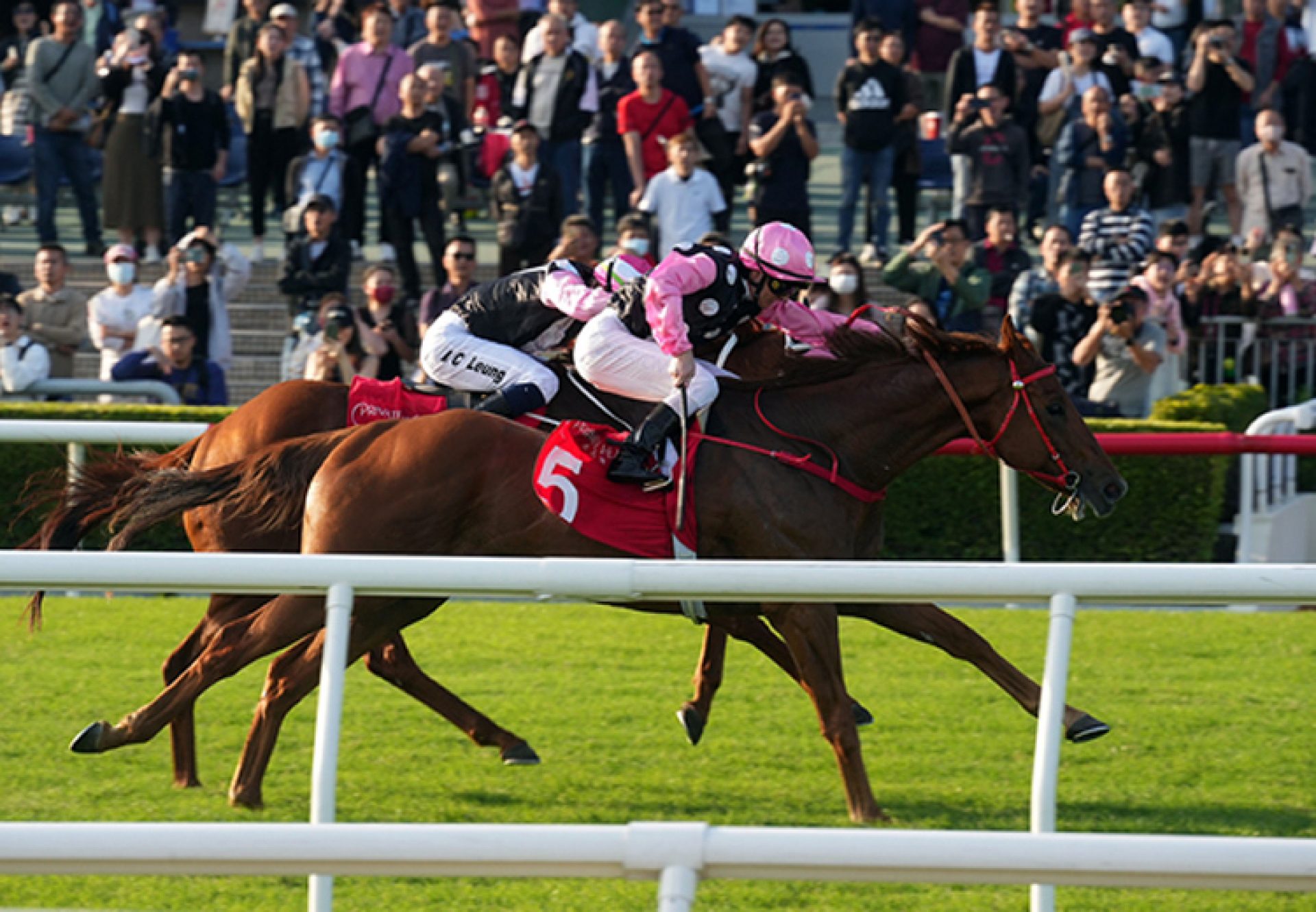 Beauty Eternal (Starspangledbanner) wins the Gr.2 Jockey Club Mile at Sha Tin