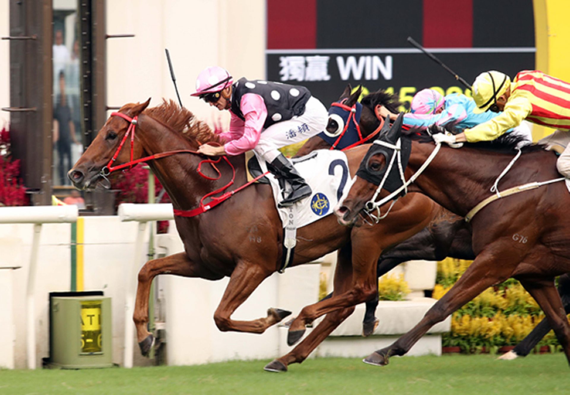 Beauty Eternal (Starspangledbanner) wins the Gr.3 Premier Cup at Sha Tin