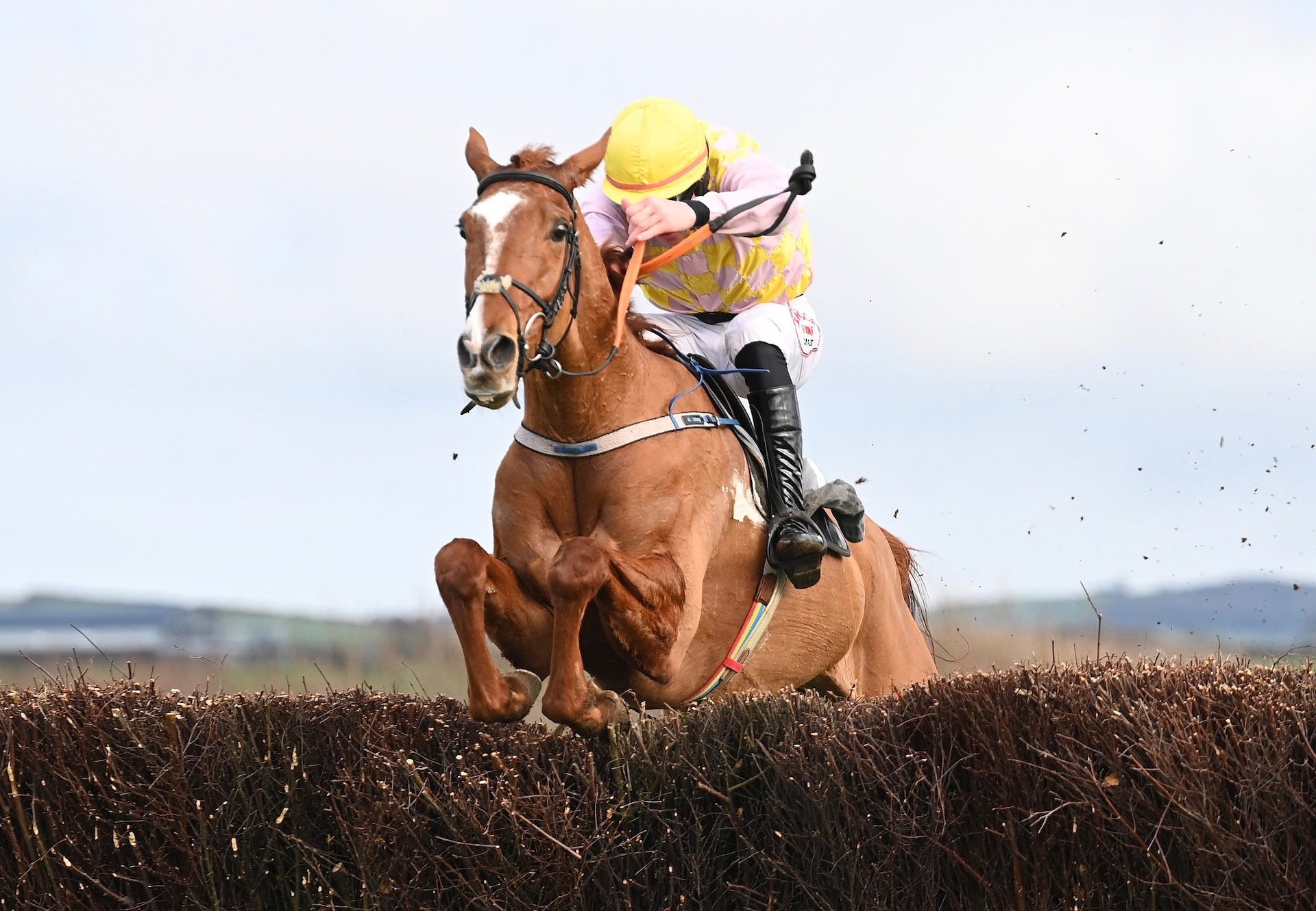 Bective Abbey (Mahler) Wins At Tyrella