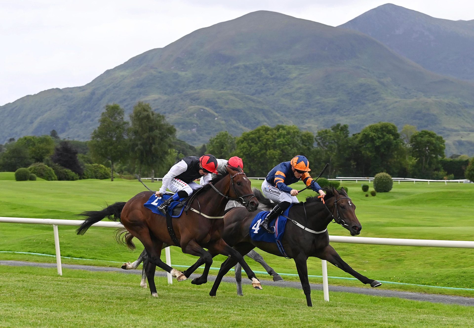 Bella Blue Eyes (Holy Roman Emperor) win her maiden at Killarney