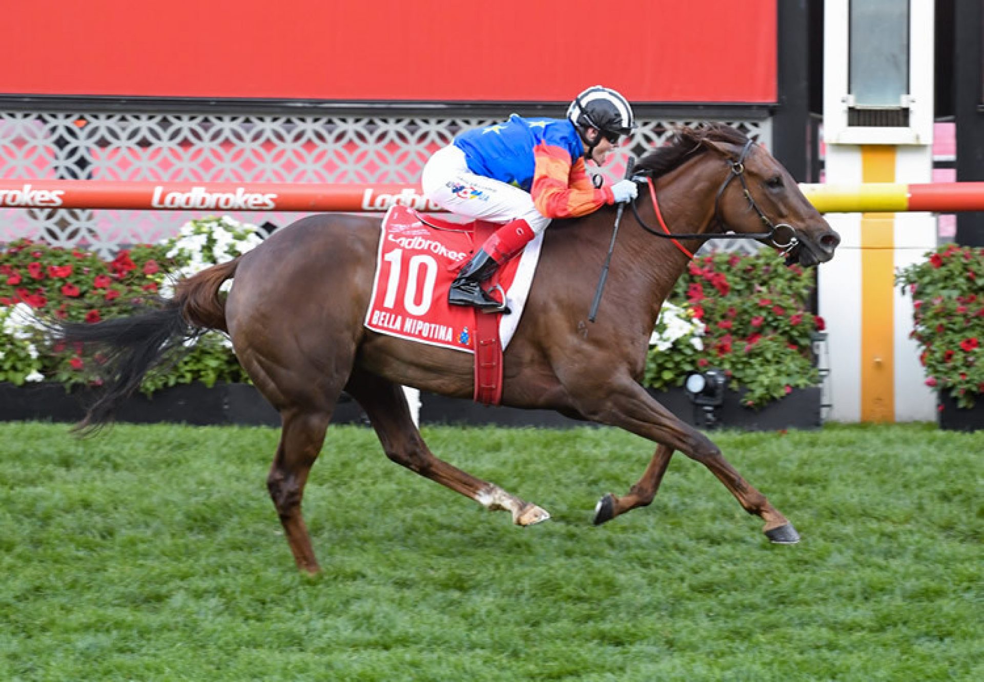 Bella Nipotina (Pride Of Dubai) winning the Gr.1 Manikato Stakes at Moonee Valley