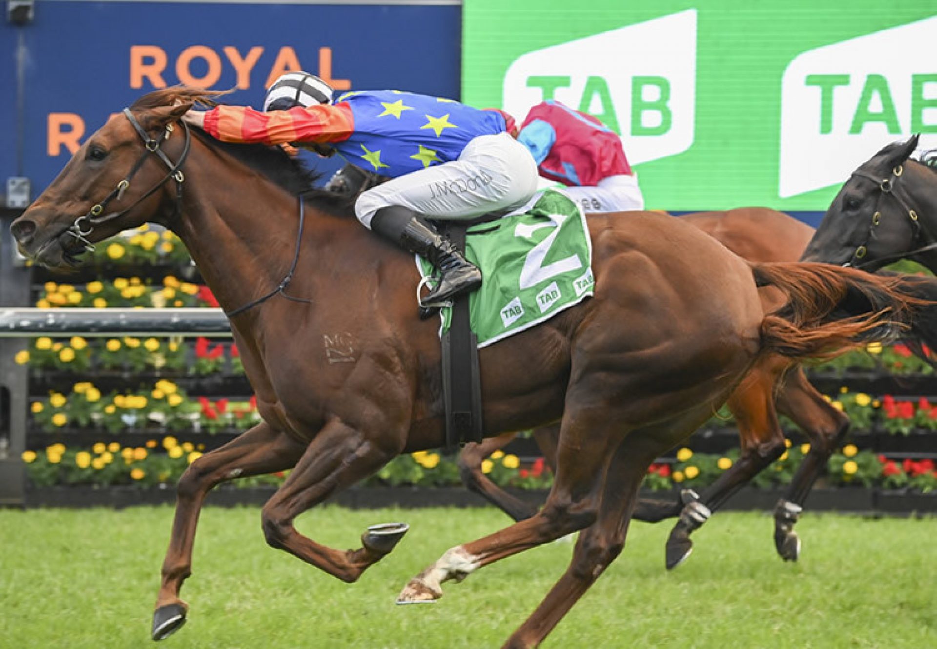 Bella Nipotina (Pride Of Dubai) winning the Gr.2 Sapphire Stakes at Randwick