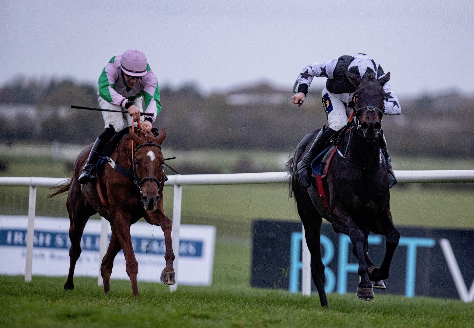 Bellatior (Walk In The Park) Makes A Winning Debut At Naas